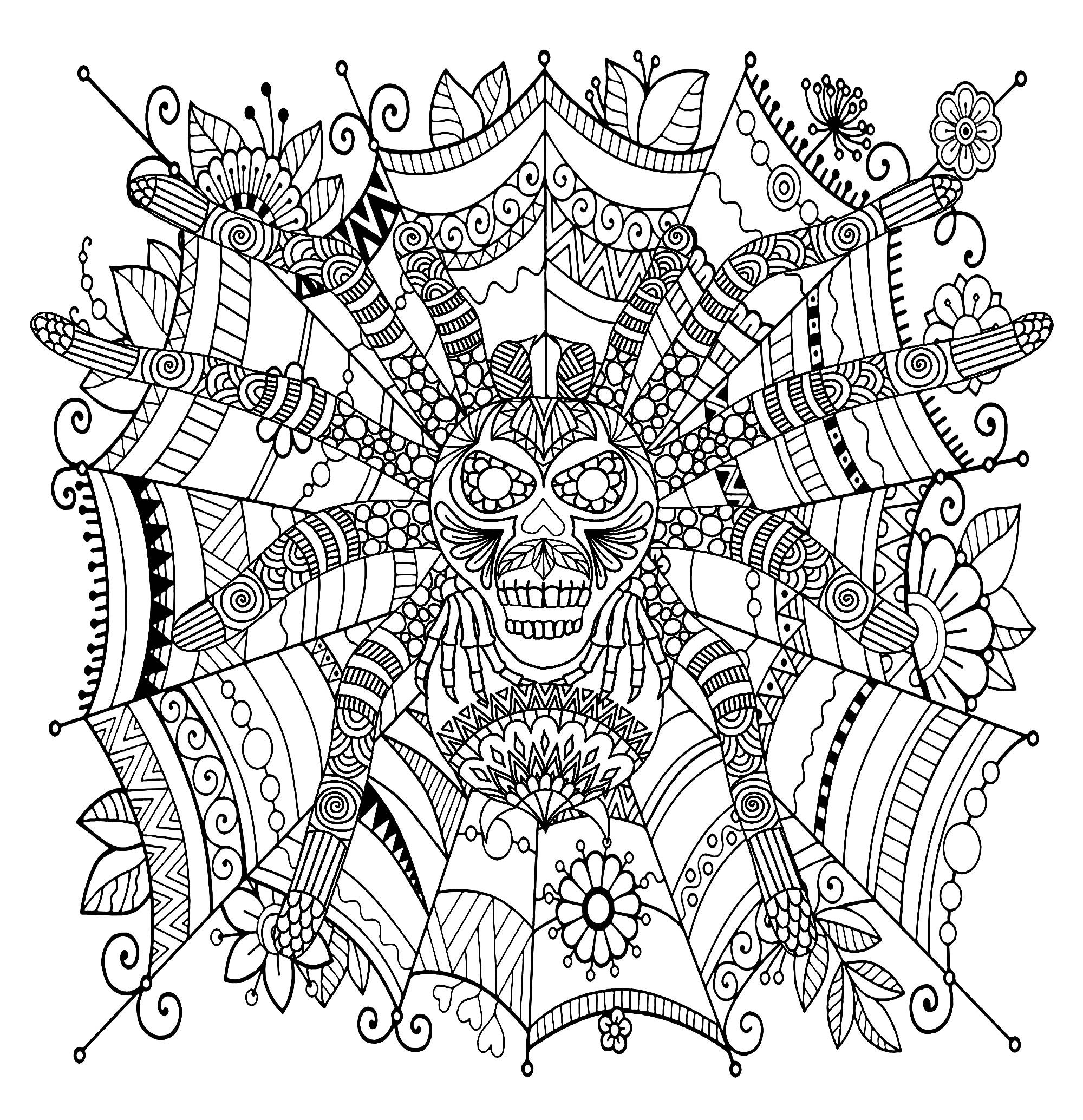 Wallpaper #Gmd6CZMBSpphPi3-WNCd68 Free Printable Spider Coloring Pages for Kids
