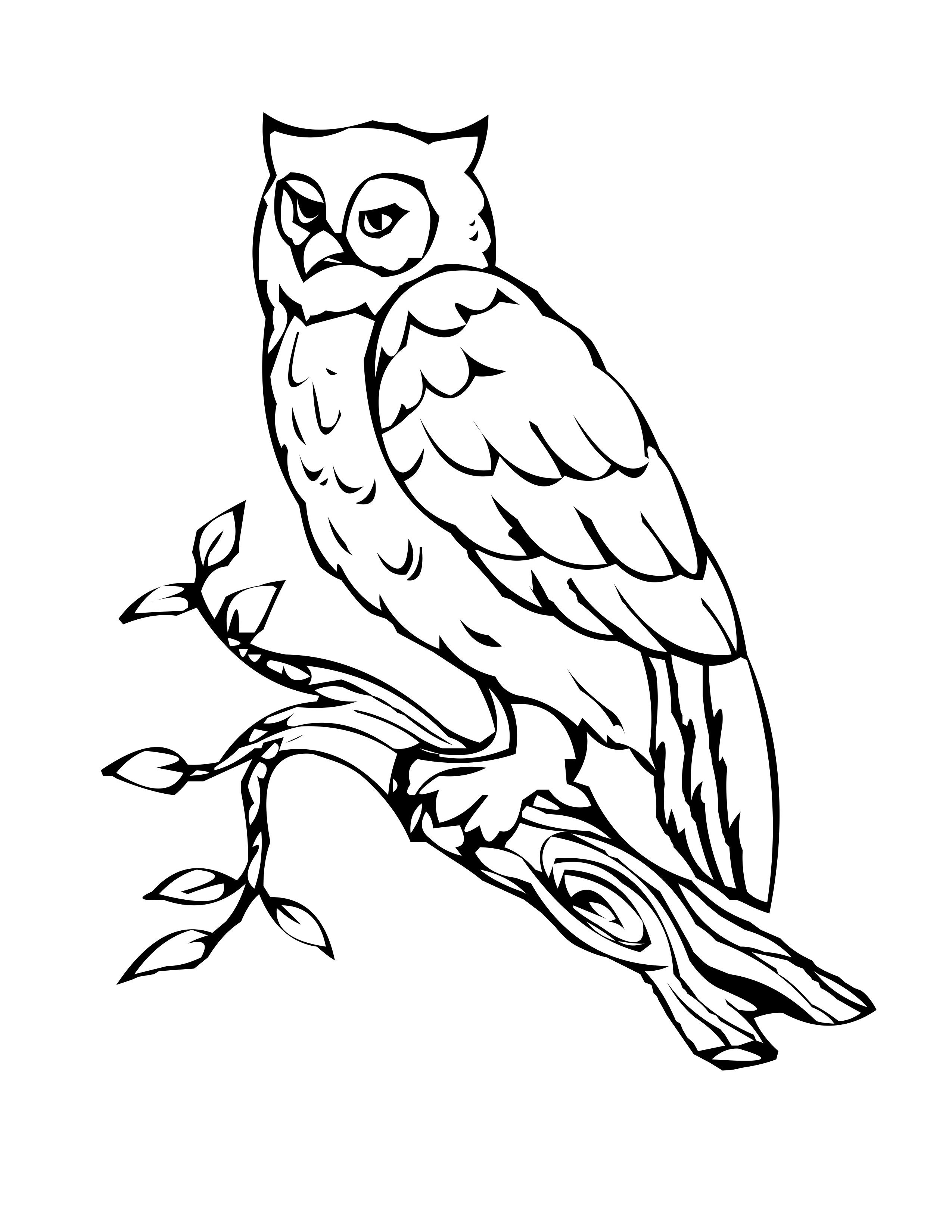 Wallpaper #6qlRh5cBxbDgA0Rlce31120 Free Printable Owl Coloring Pages for Kids