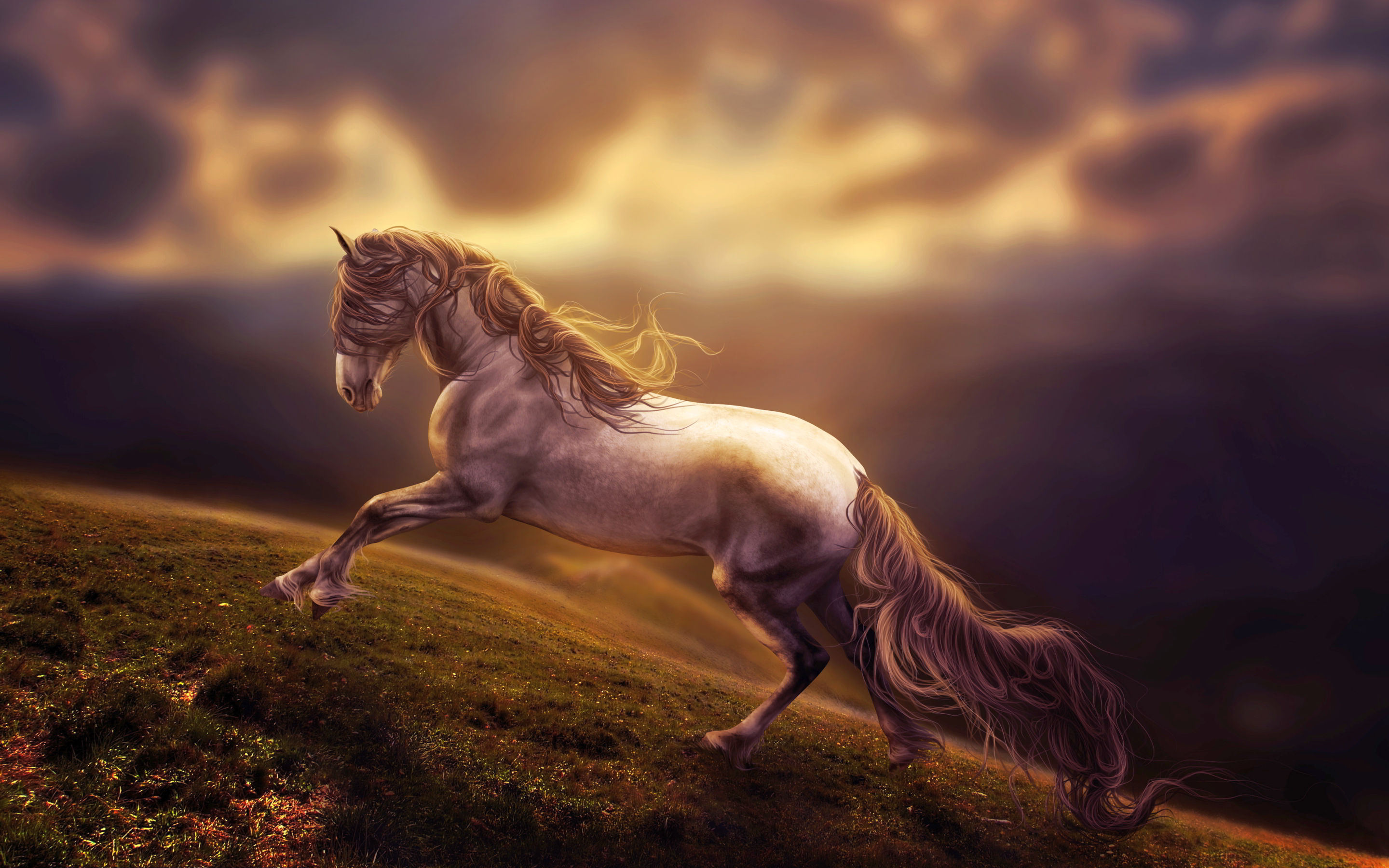 Wallpaper #HWdNCpMBSpphPi3-pNQH281 3840x2160 Amazing Horse Art 4K HD 4K Wallpapers Images Backgrounds