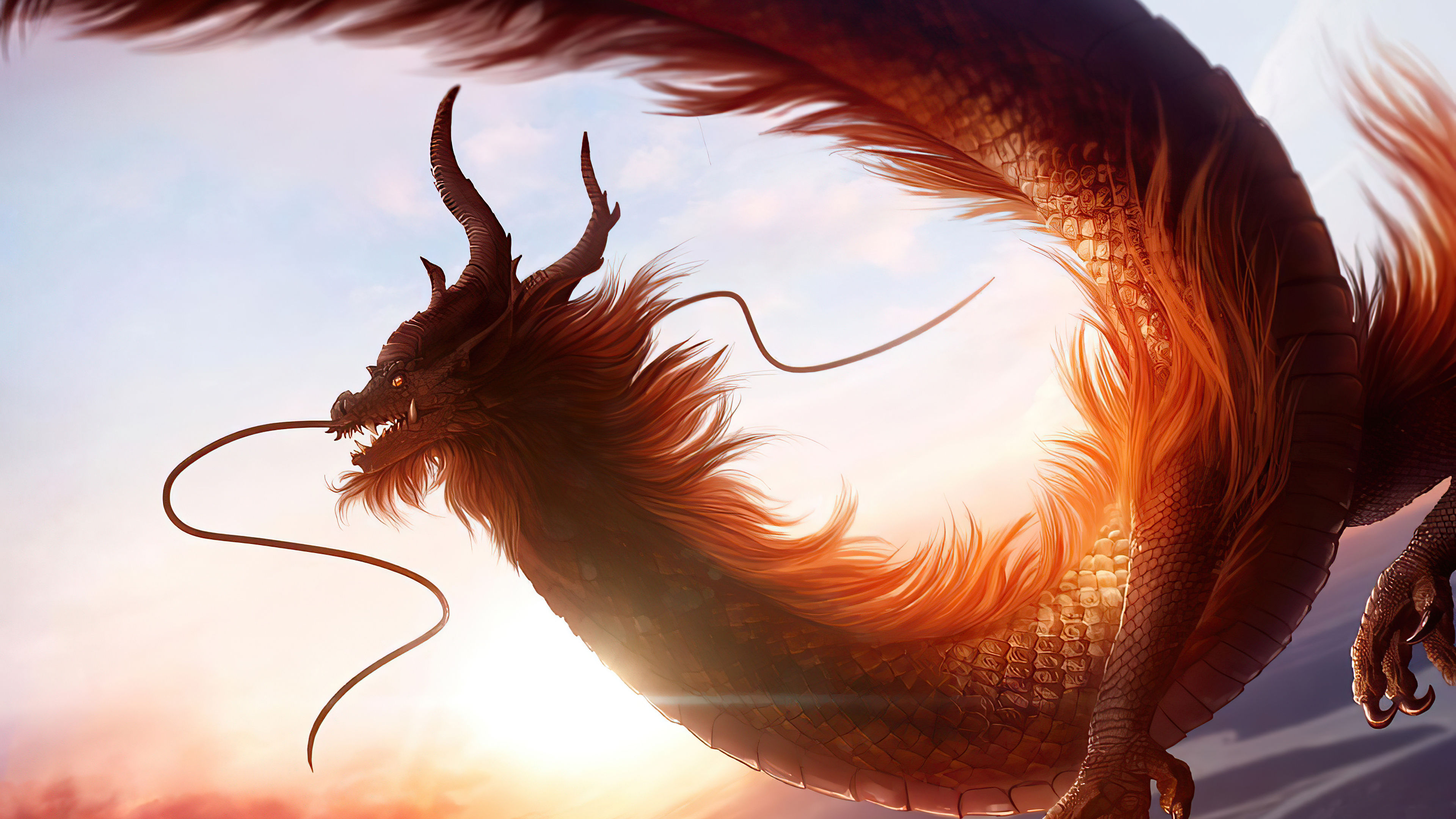 Wallpaper #63d65 Dragon HD Wallpapers 77 Images