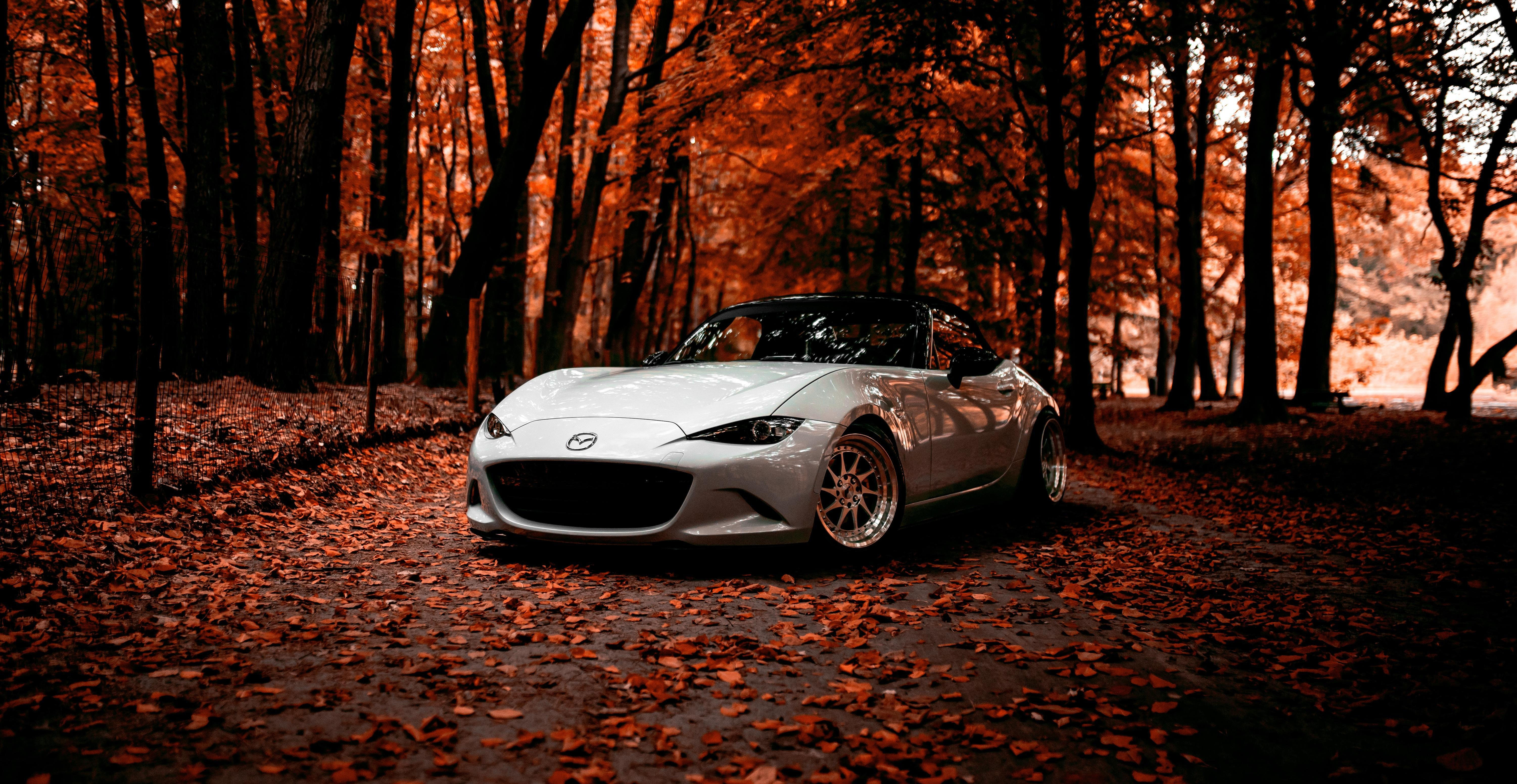 Wallpaper #rWgUHJMBSpphPi3-8SFd321 Mazda 5K Wallpaperhd Cars Wallpapers4k Wallpapersimagesbackgrounds