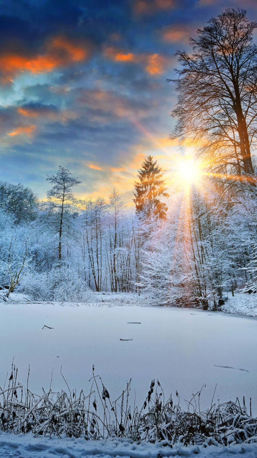 Wallpaper #yJyF4pIBZHQxiYarucCZ140 1080x1920 Sunbeams Landscape Snow in Winter Trees 4K iPhone 76s6 Plus
