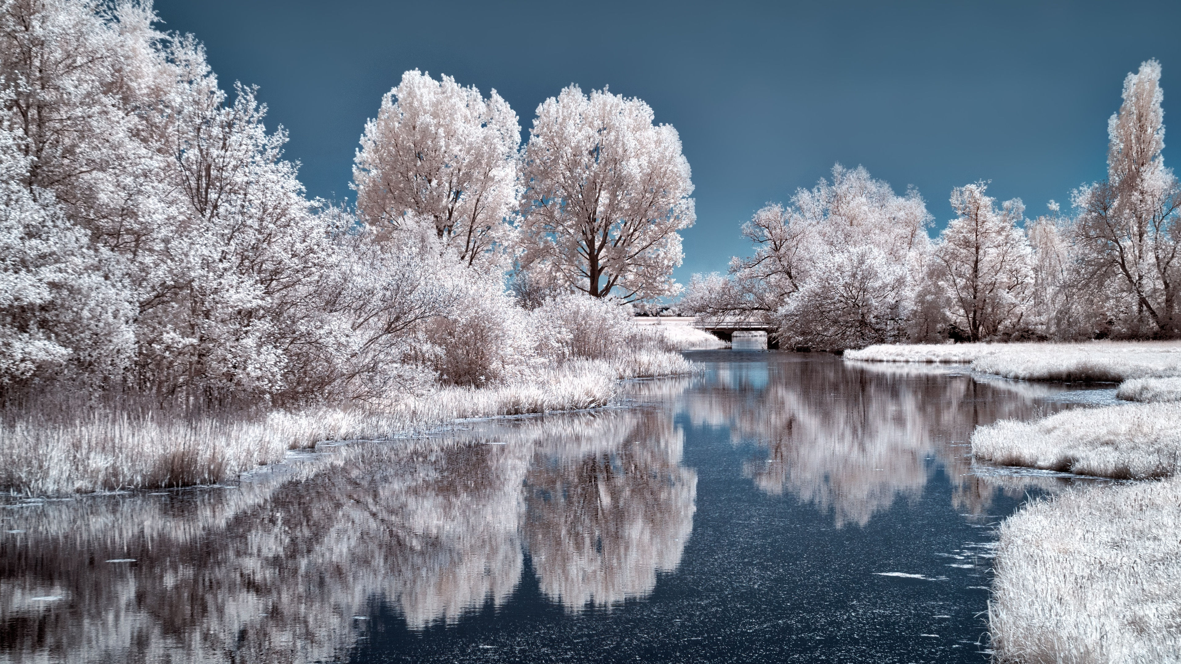 Wallpaper #yJyF4pIBZHQxiYarucCZ160 3840x2160 Ice Lake Frozen Trees 4K 4k HD 4K Wallpapersimages