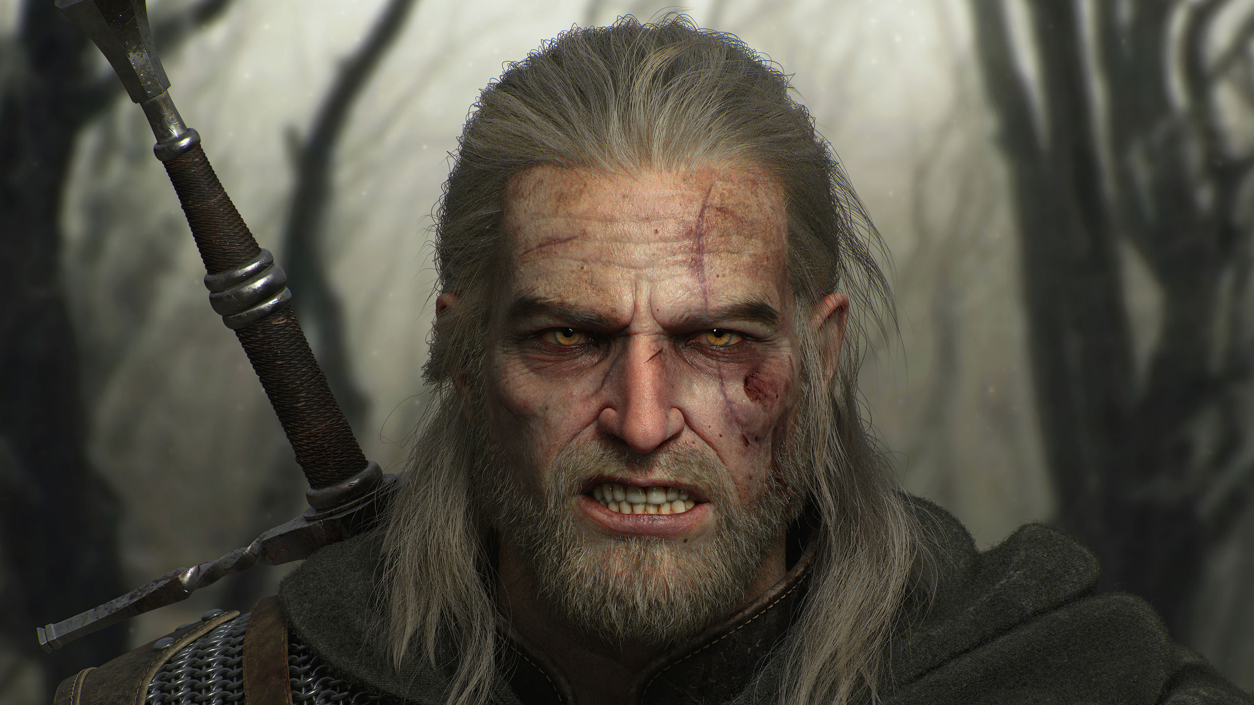Wallpaper #RkDEMZMBJhL2WPbaNsiW73 2560x1440 Geralt of Rivia the Witcher 3 Wild Hunt 5K 1440p Resolution