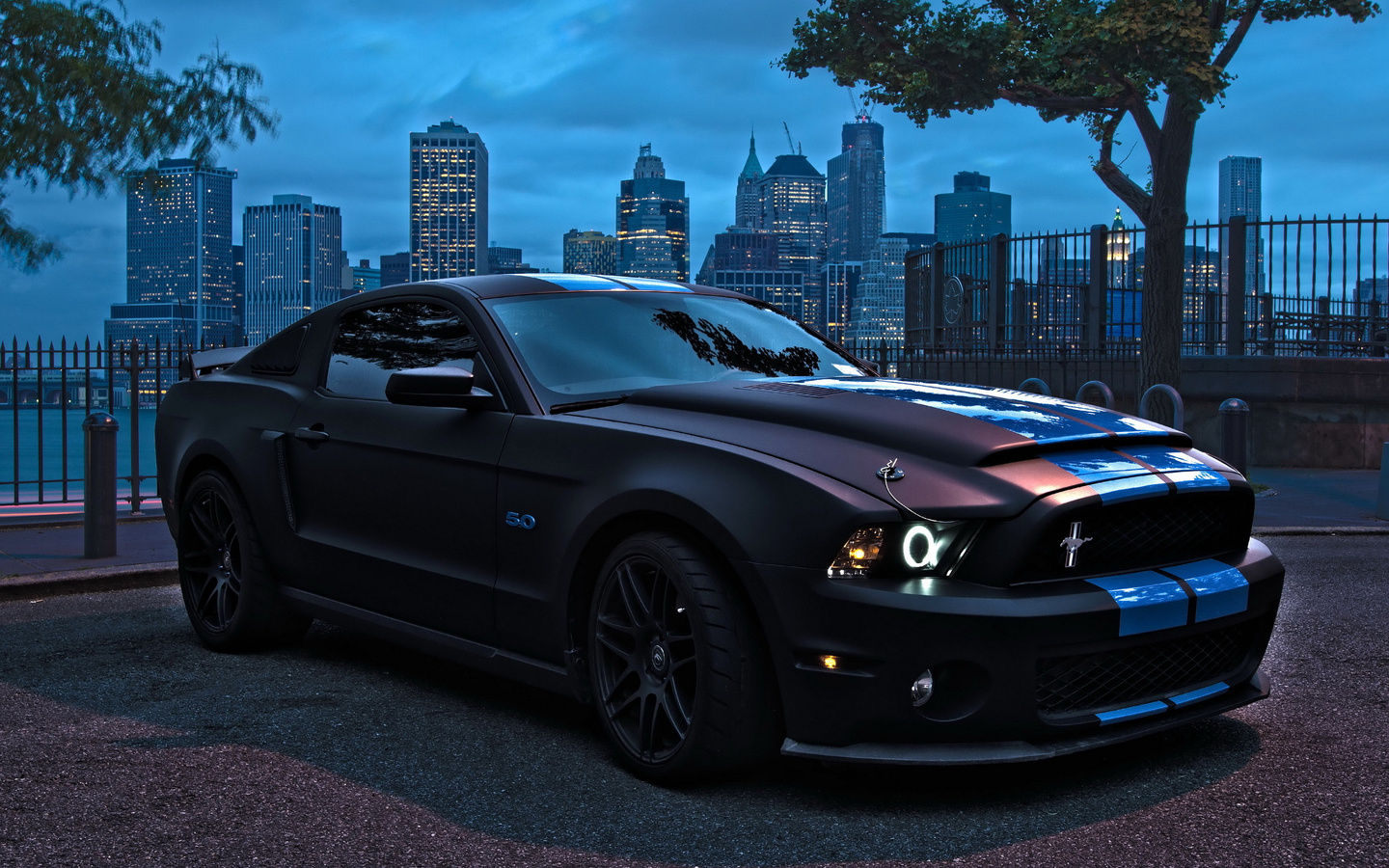 Wallpaper #B31O8Y4Bnwiau_P6Owky5 1440x900 Ford Mustang Shelby Wallpaper1440x900 Resolution HD 4K