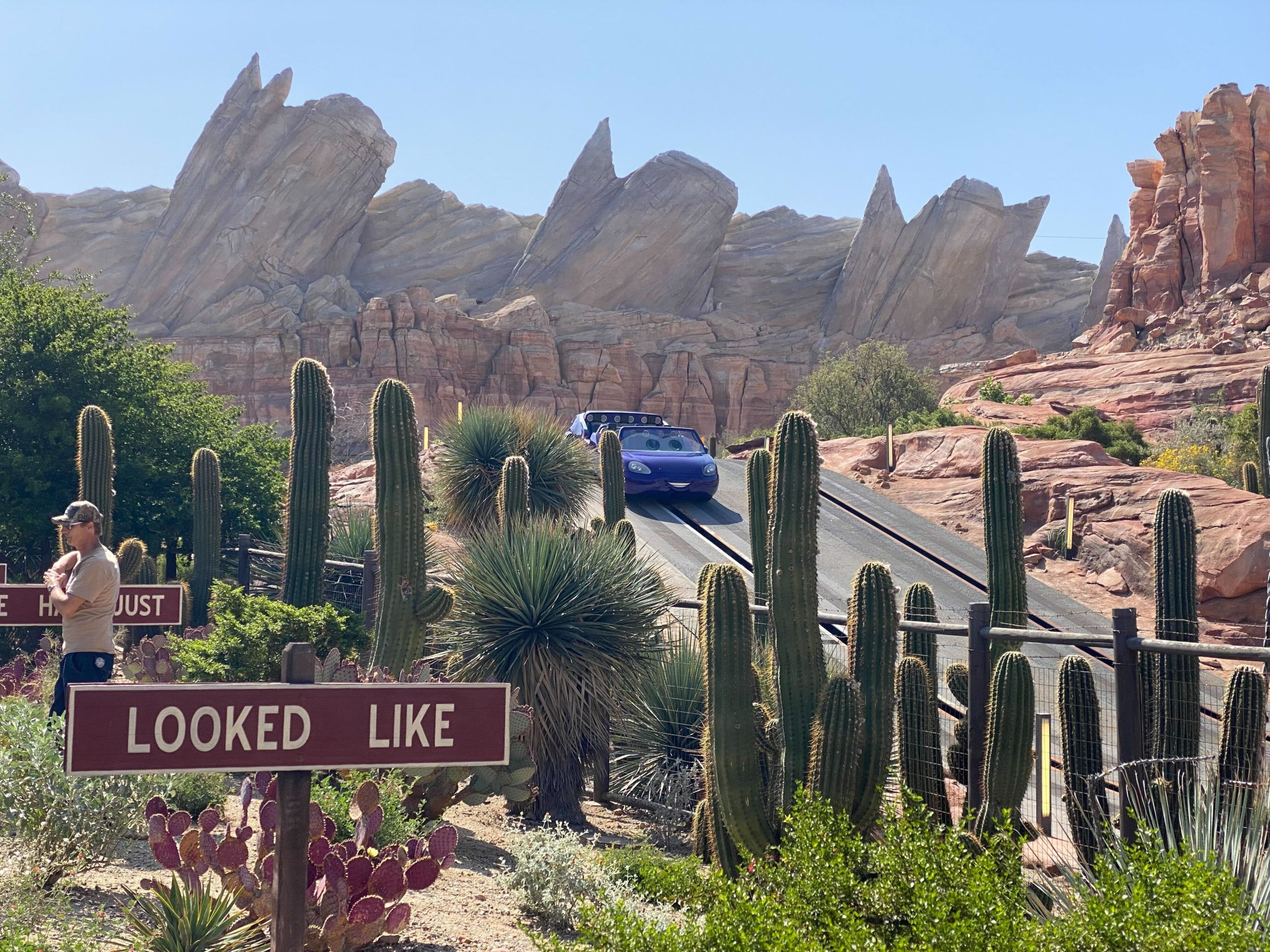 Wallpaper #adb5a Our Exclusive Review of Radiator Springs 500 the Characters the Die