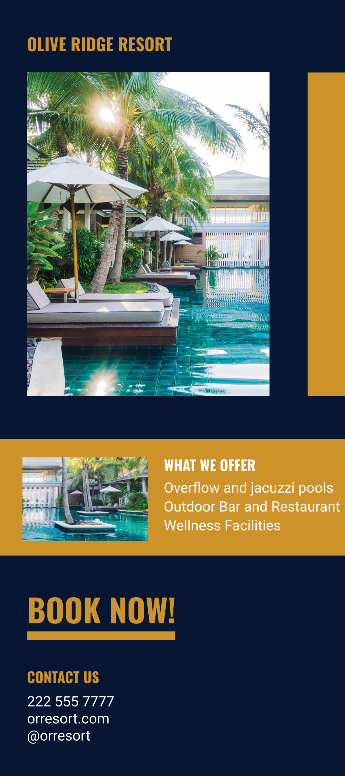 Wallpaper #sWi_E5MBSpphPi3-bwEk316 Modern Resort Rack Card Template Edit Online Download Example