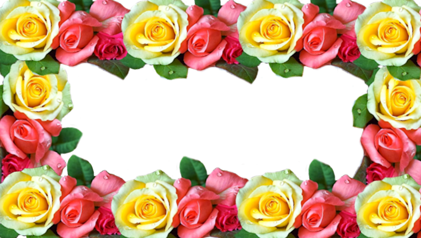 Wallpaper #0ae40 October 27 2024 Church Service by Grace Baptist Church of Hutto