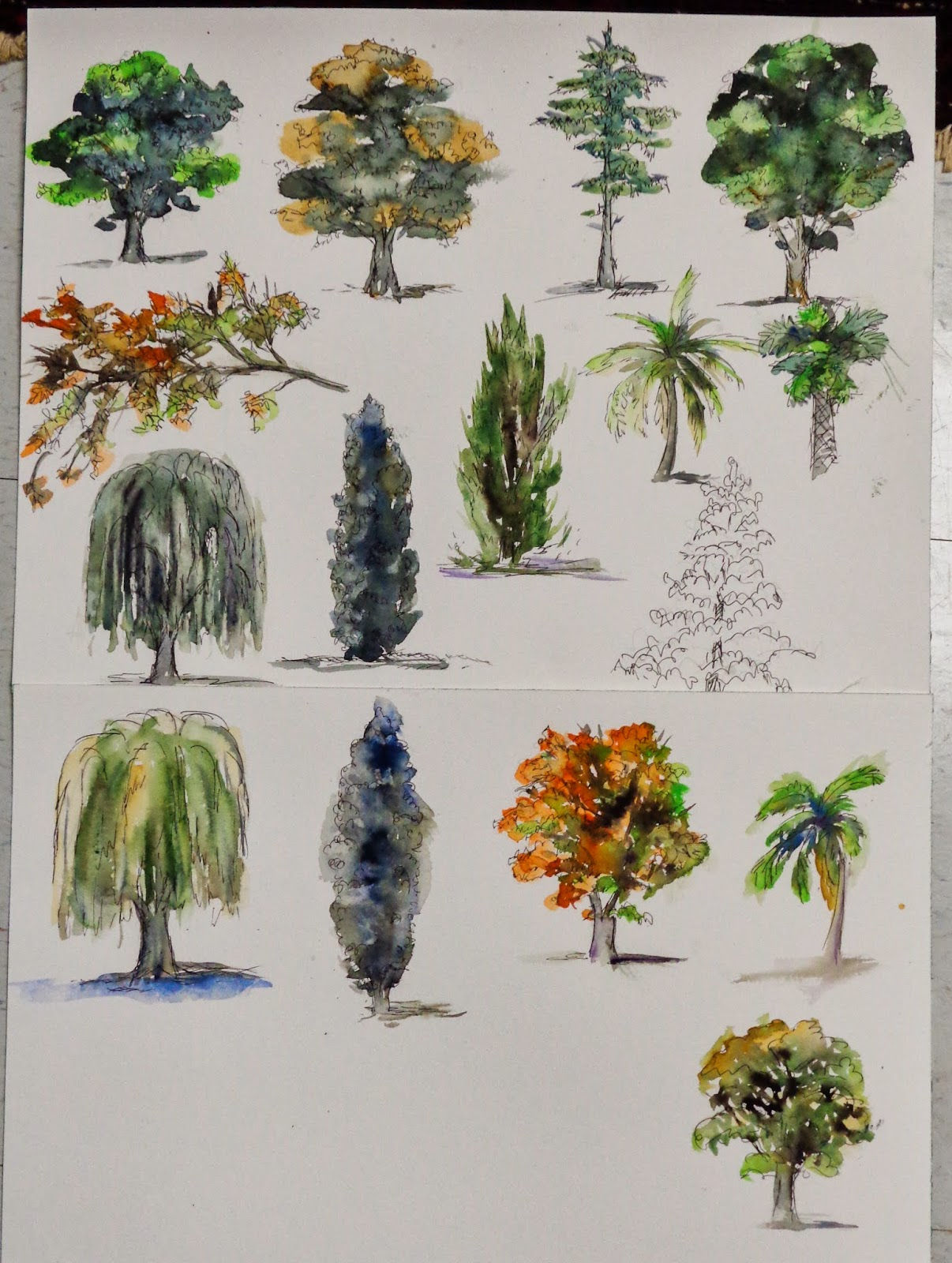 Wallpaper #BWgvFZMBSpphPi3-Zwec222 Annie Strack News Painting Trees in Watercolor