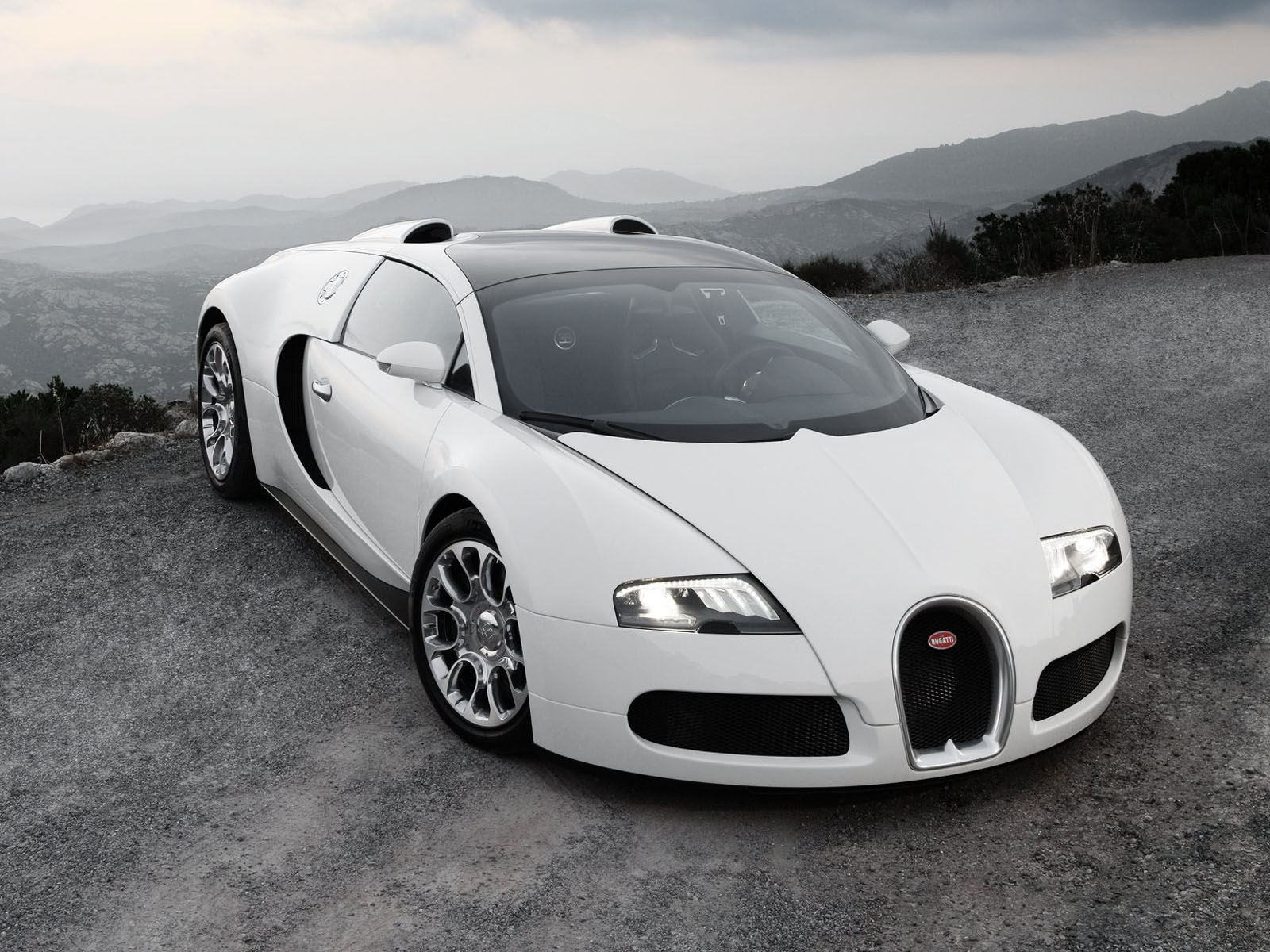 Wallpaper #fGhOGZMBSpphPi3-OBae275 Bugatti Veyron Grand Sport White HD Wallpapers Gallery Car HD Wallpapers