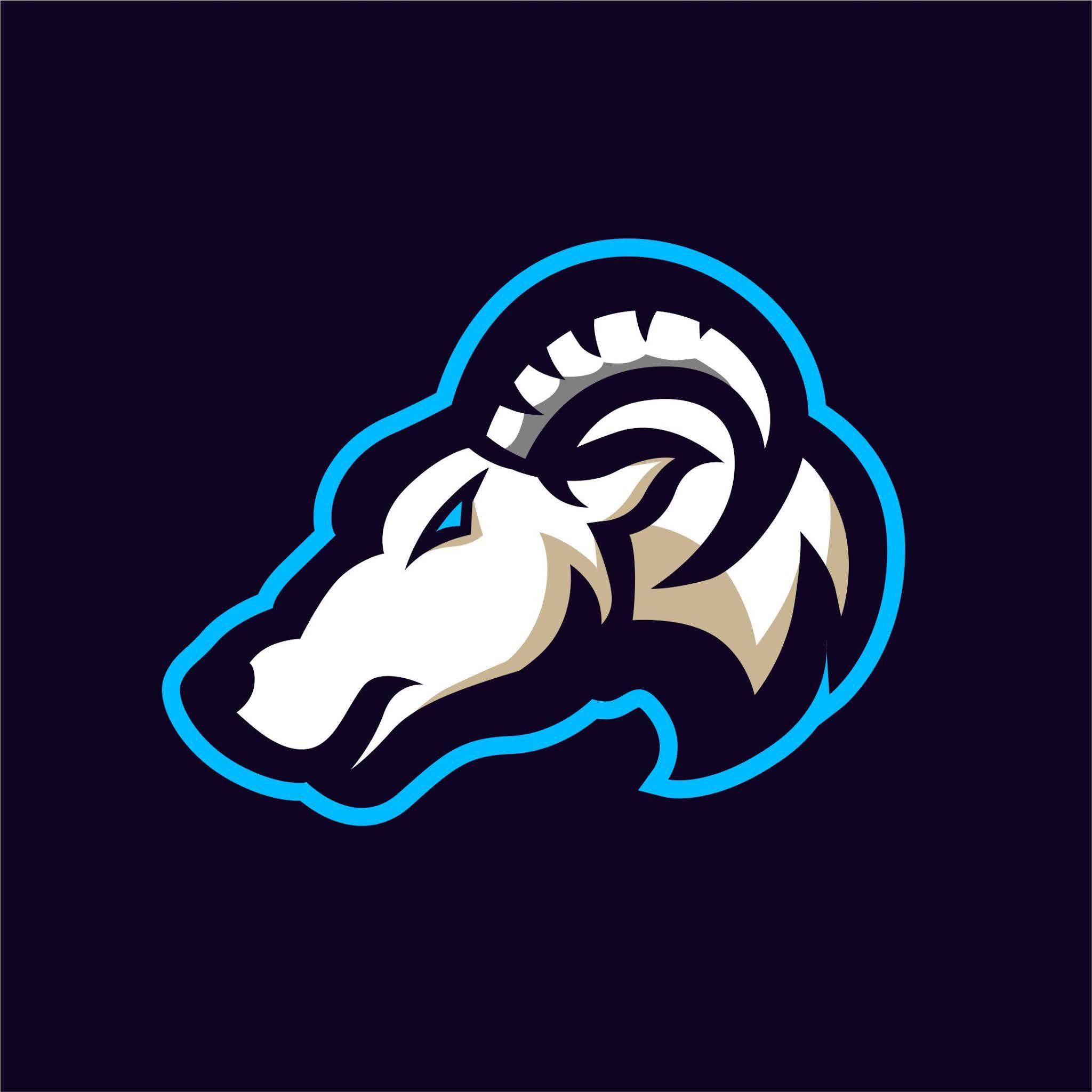 Wallpaper #UEUij44B7YBJg1BVRZ3G52 Valorant Esports Logo