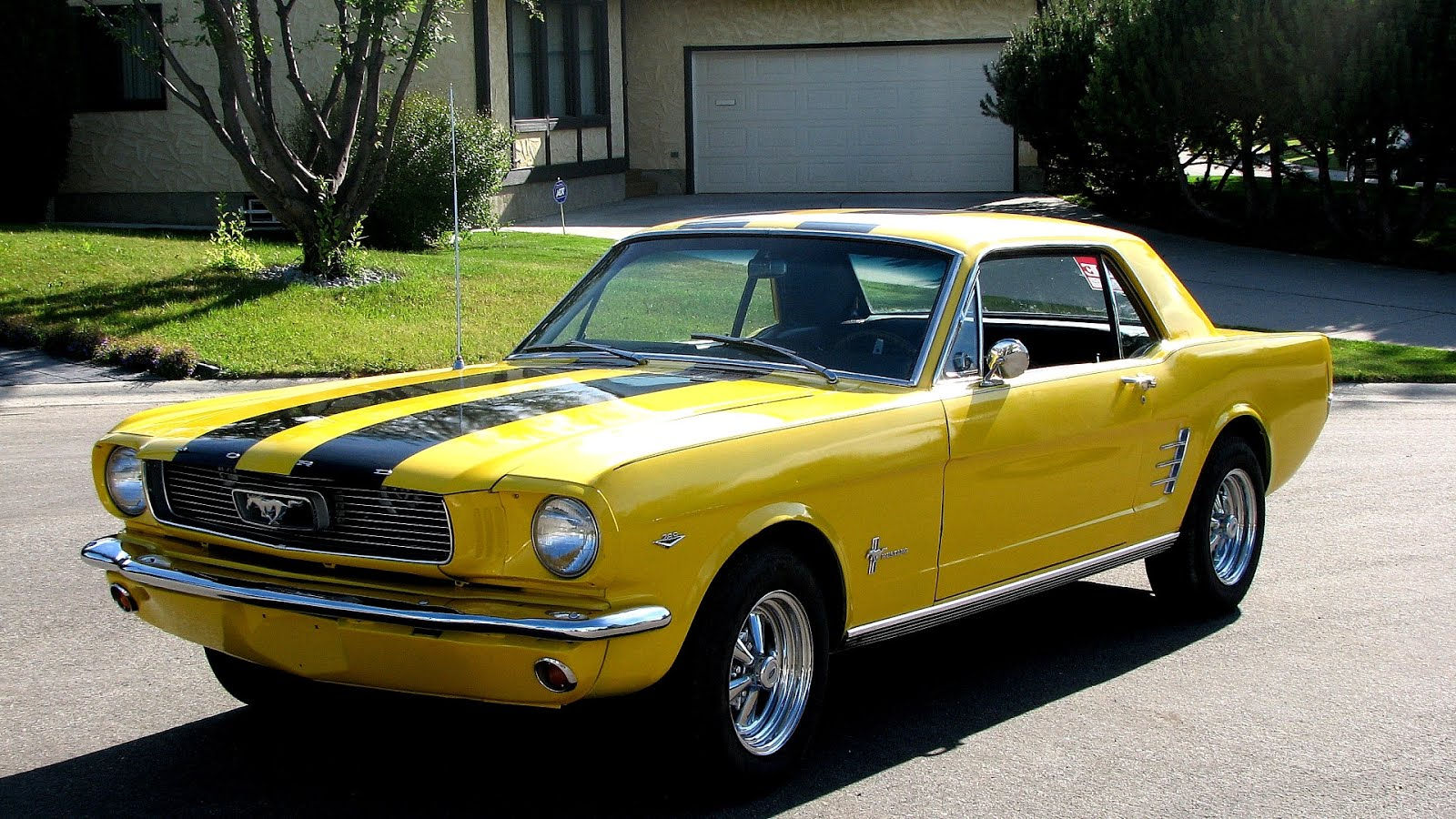 Wallpaper #LJ9kWZMBcUVgGJNoqrJ078 Yellow Ford Mustang for Sale Yellow Choices