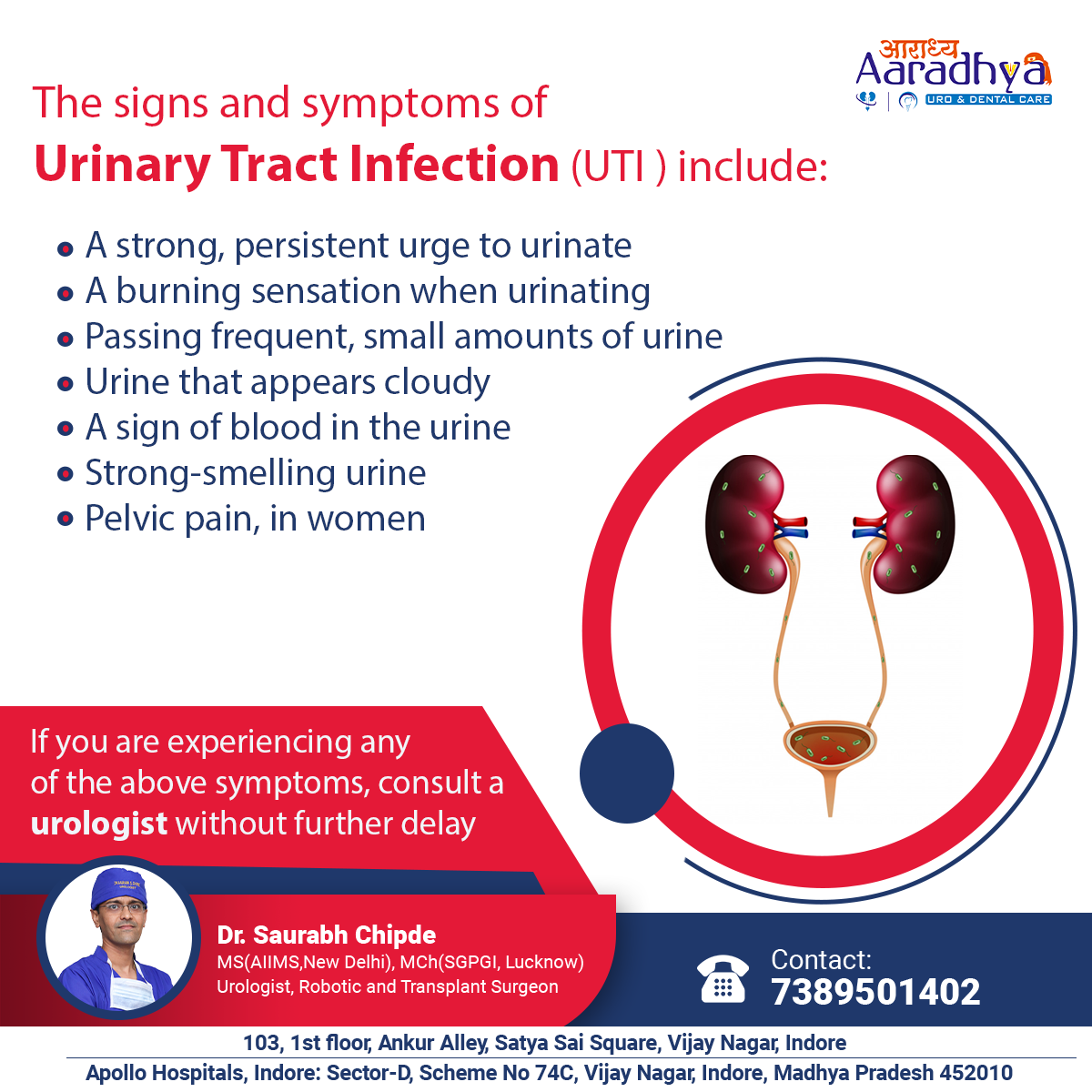 Wallpaper #2D780 182 Bacterial Infections of the Urinary System Biology Libretexts