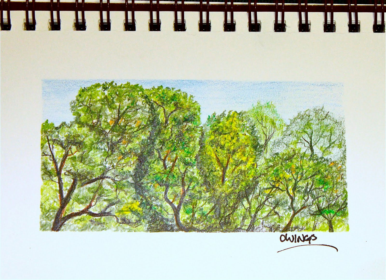 Wallpaper #BWgvFZMBSpphPi3-Zwec161 Owings Art Studio Trees Colored Pencil Sketch