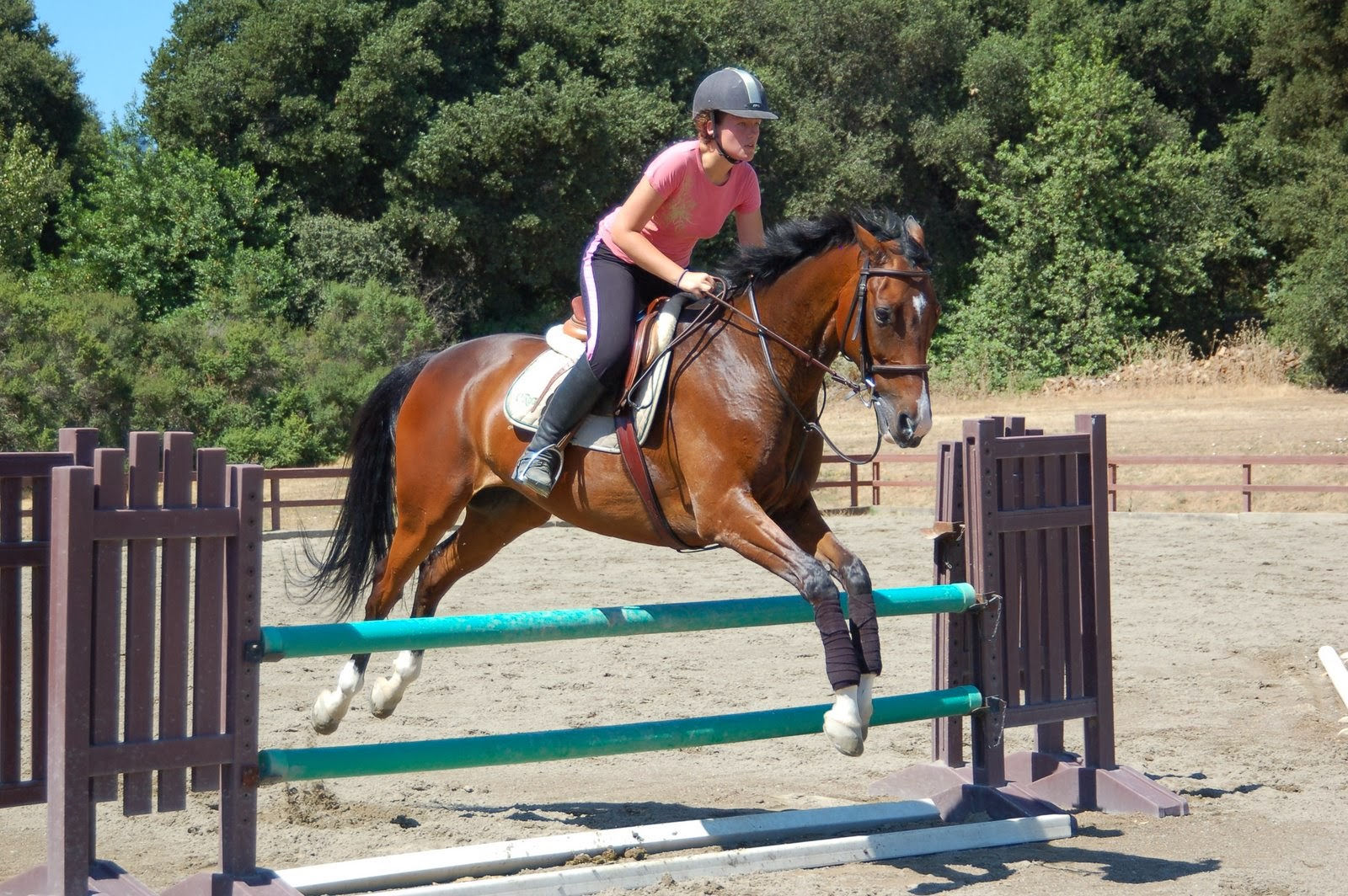 Wallpaper #Gx2aLJMBlOZrFDOk68sw218 Horse Jump Wallpaper Nice Pics Gallery