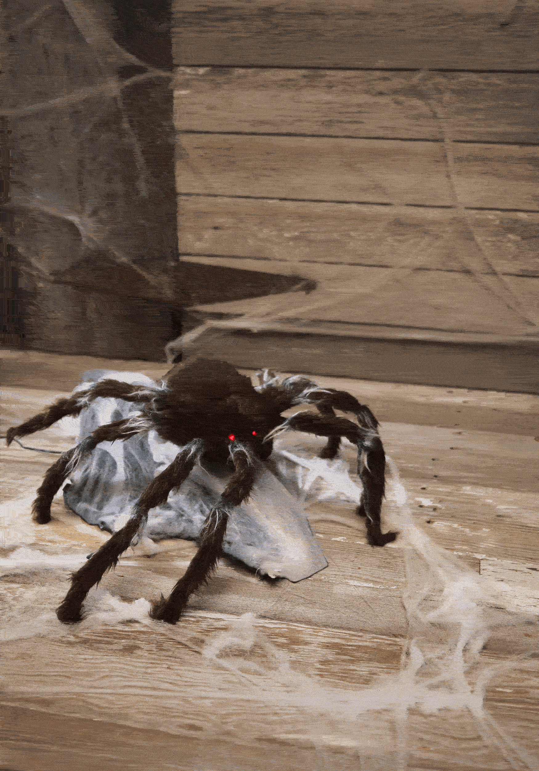 Wallpaper #-mhaFJMBSpphPi3-rAPx339 Animated Brown Jumping Spider Decoration Scary Spider Props
