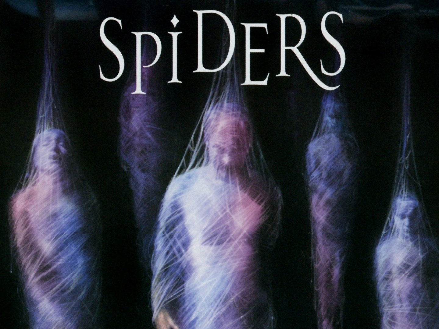 Wallpaper #RfS4OZMBKFX8bn3rZXfT97 Spiders Pictures Rotten Tomatoes