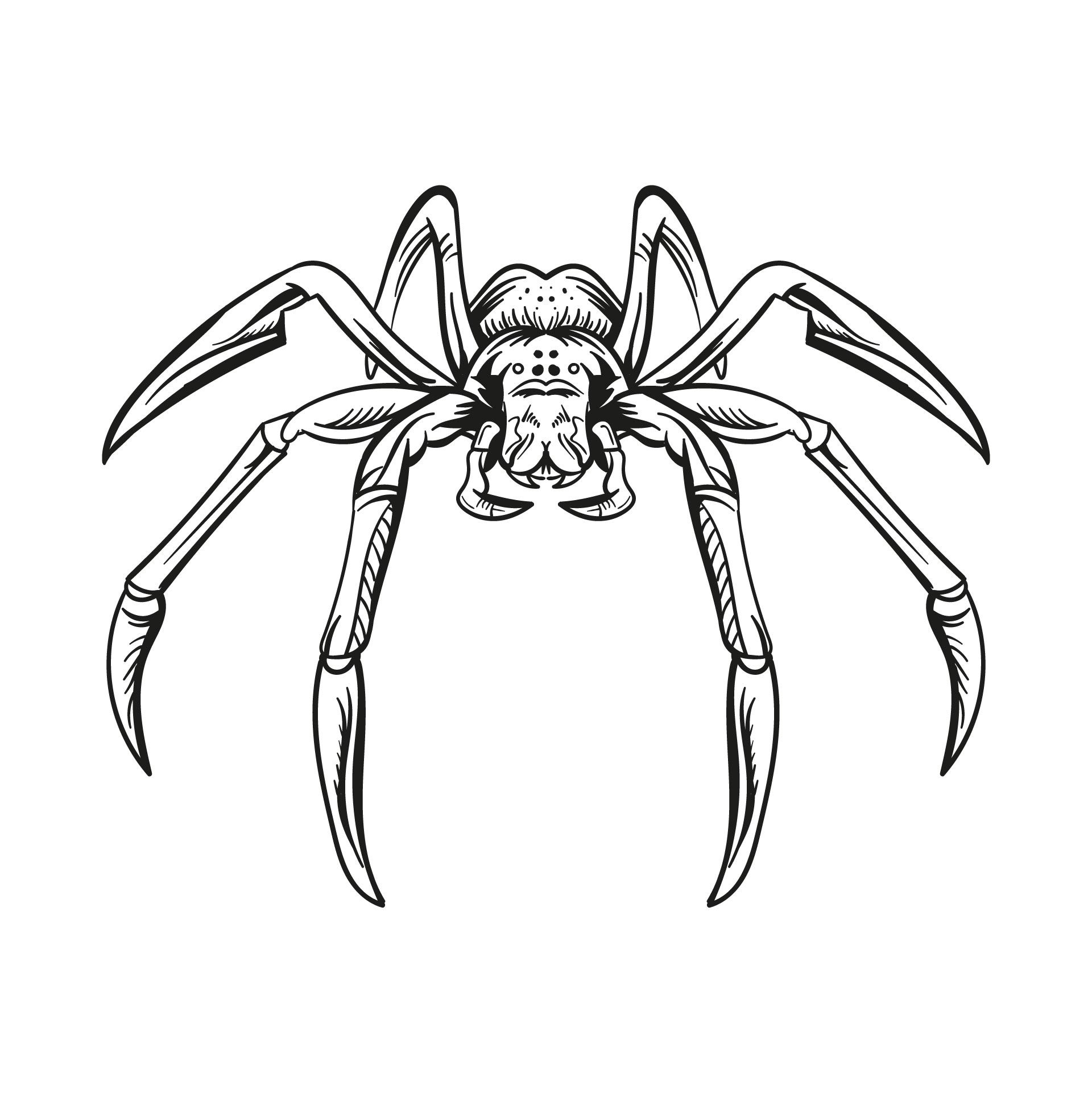 Wallpaper #Gmd6CZMBSpphPi3-WNCd42 7 Best Images of Spiders for Halloween Printable Halloween Spider