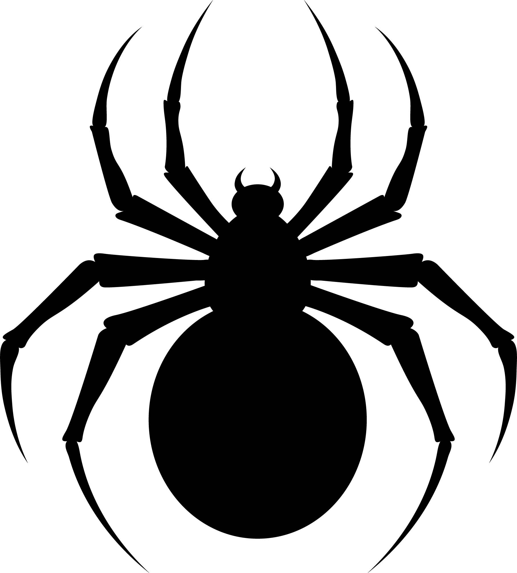 Wallpaper #sQMhZJMBpyOg8YnEWNZf267 6 Best Images of Printable Spider Template Halloween Spider Templates