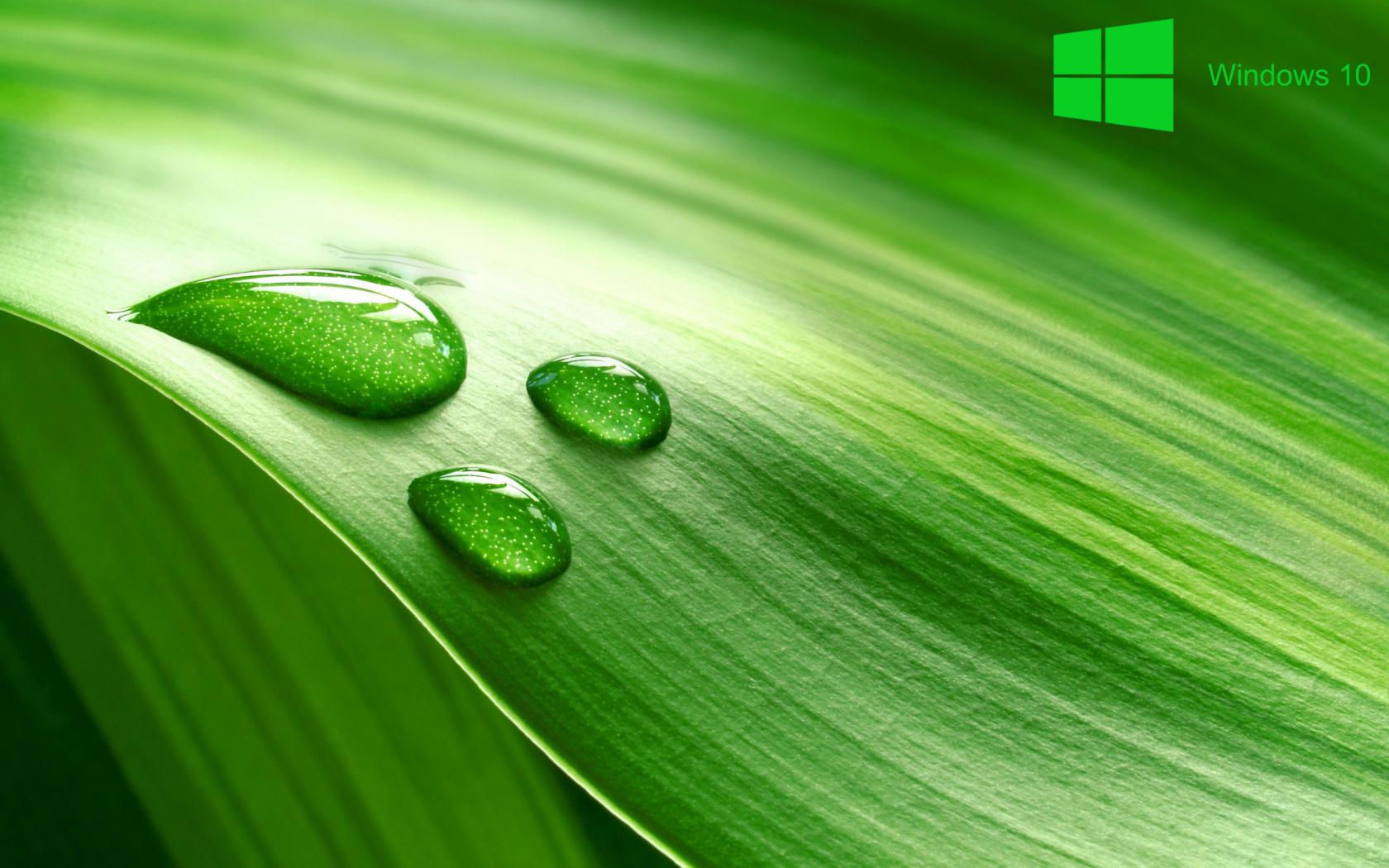 Wallpaper #QnQVvY4B_8f4nGFaWmuf27 Windows 10 Green Wallpaper Wallpapersafari