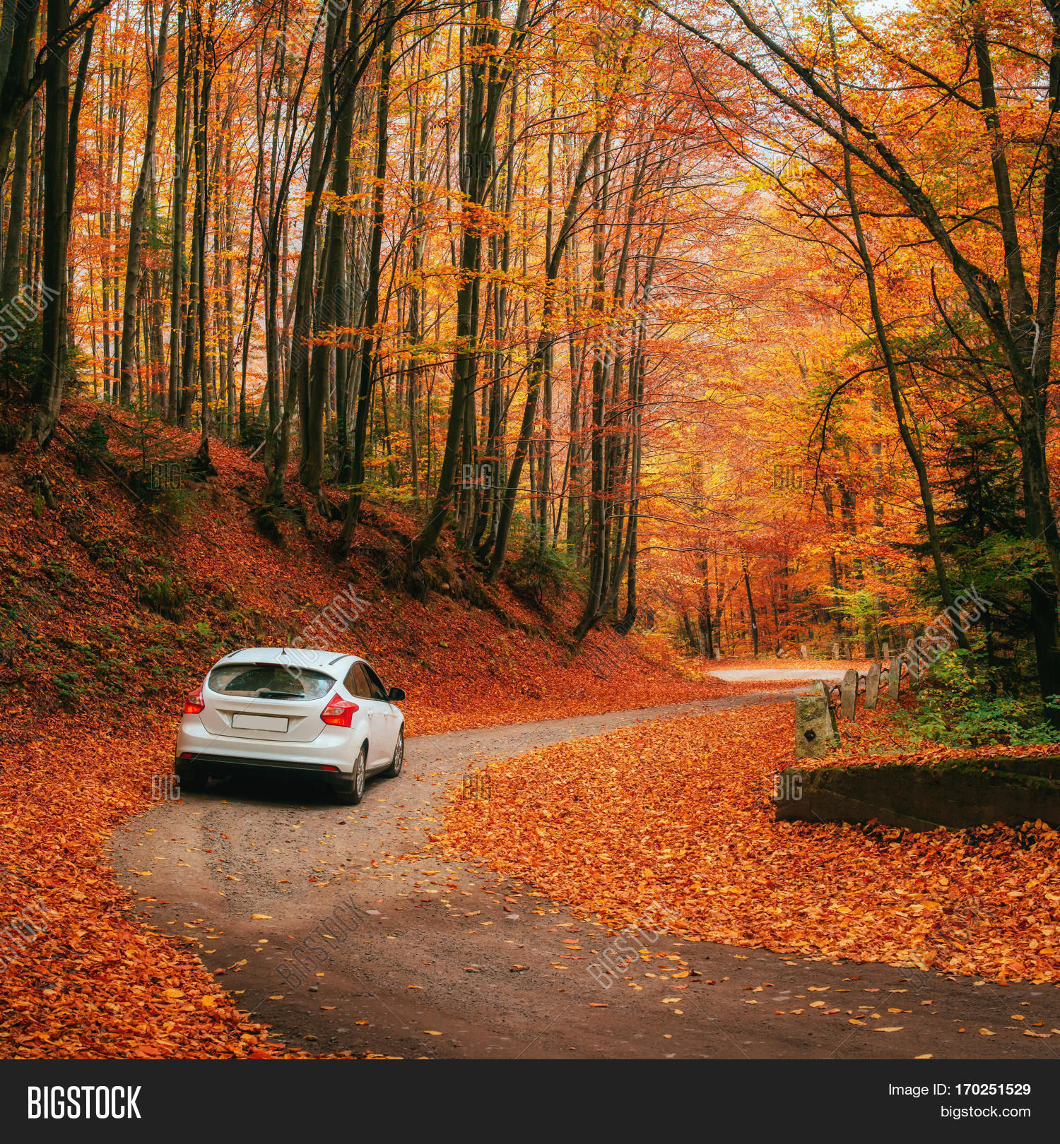 Wallpaper #rWgUHJMBSpphPi3-8SFd36 White Car on Autumn Image Photo Free Trial Bigstock