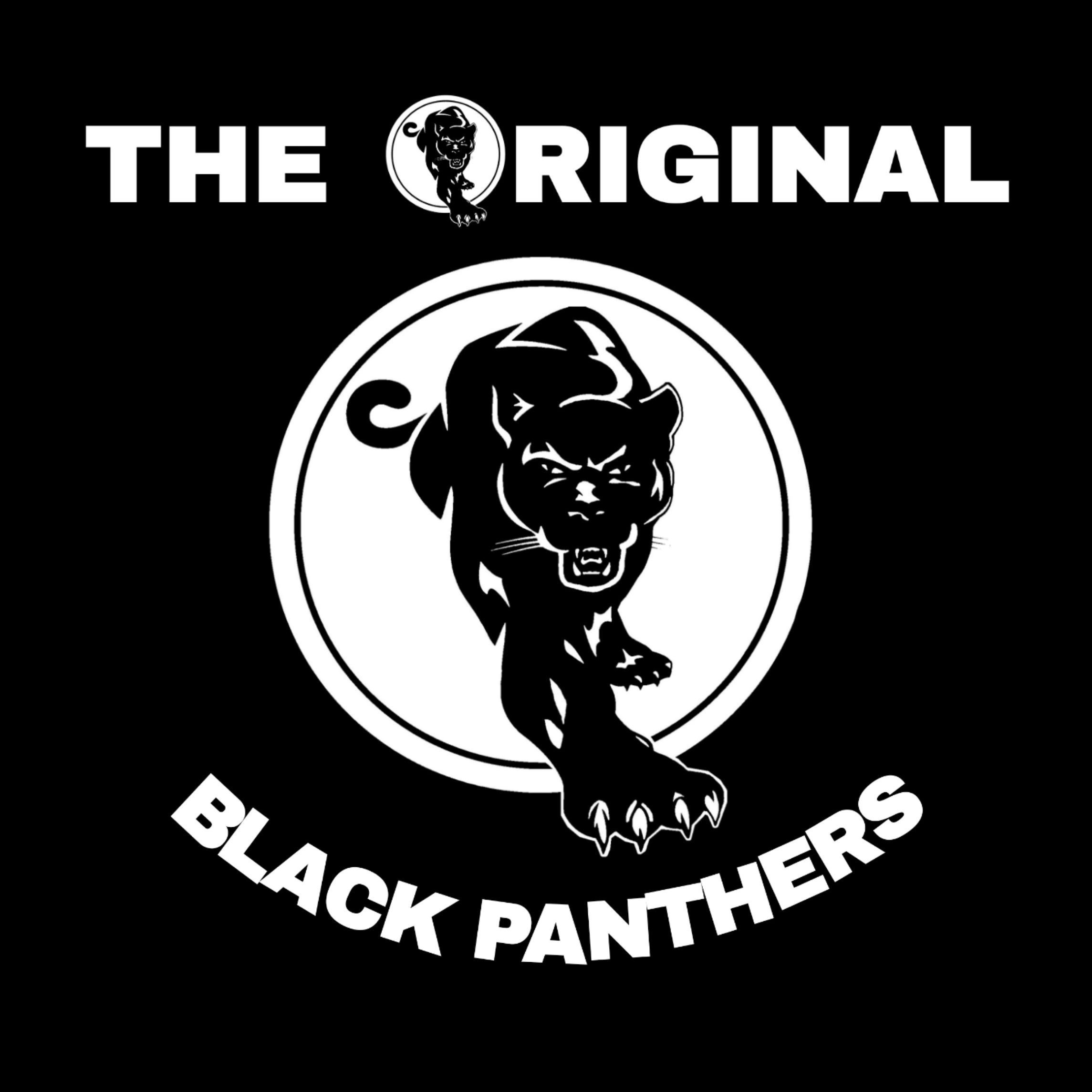 Wallpaper #6d884 The Black Panthers Vanguard of the Revolution Documentary About