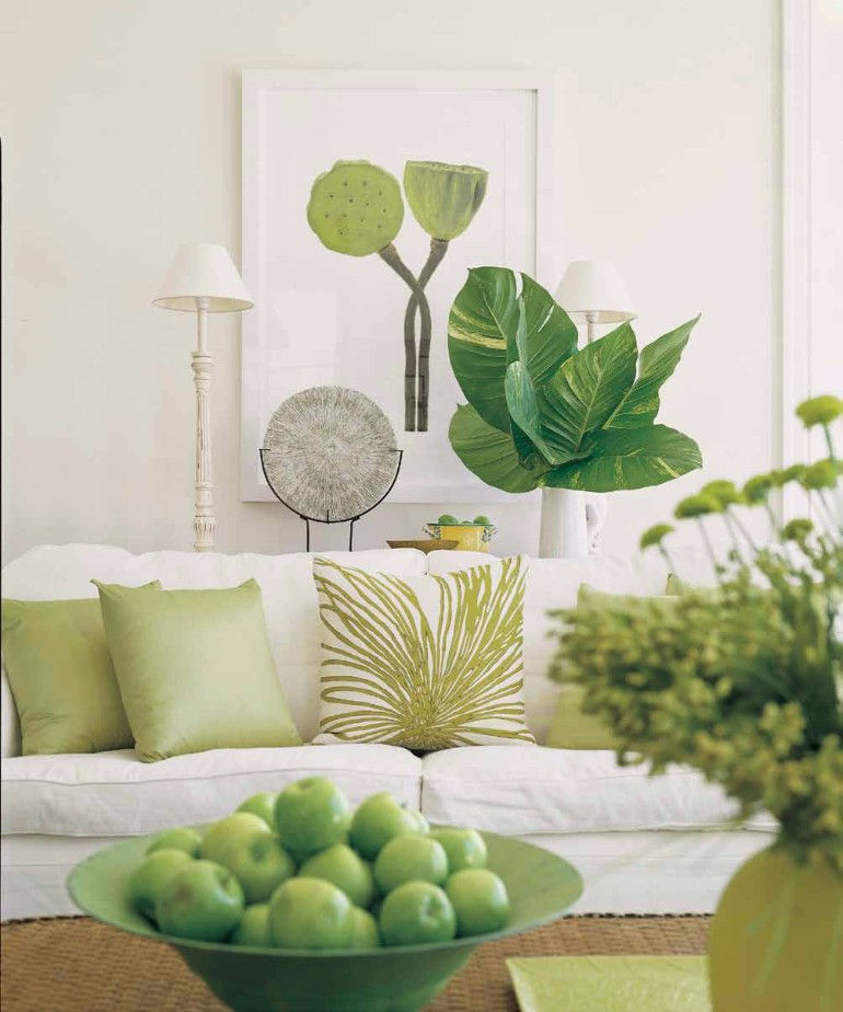 Wallpaper #b5610 30 Pretty House Plants Ideas for Living Room Decoration Living Room