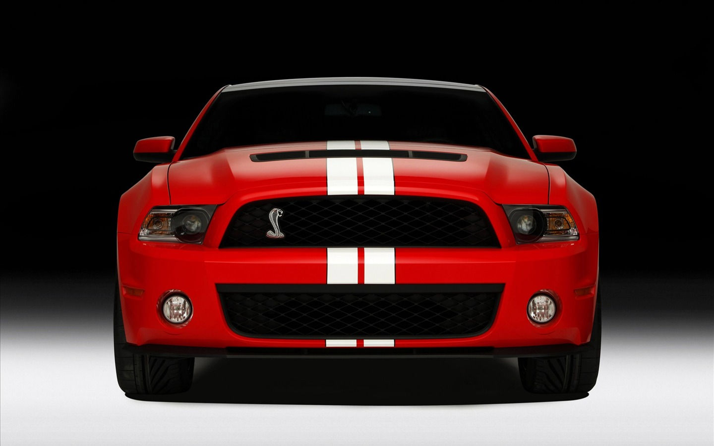 Wallpaper #B31O8Y4Bnwiau_P6Owky23 Ford Mustang Gt500 Wallpapers 5 1440x900 Wallpaper Download Ford