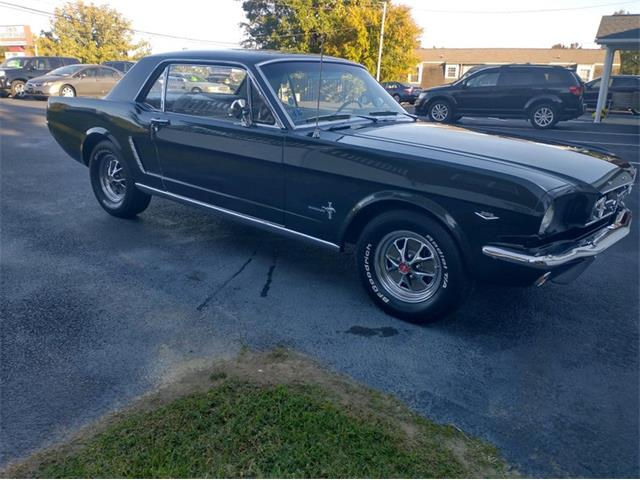 Wallpaper #dLhz15IBJvJKYCmER-Ou392 1965 Ford Mustang for Sale Classiccarscom Cc 1897179