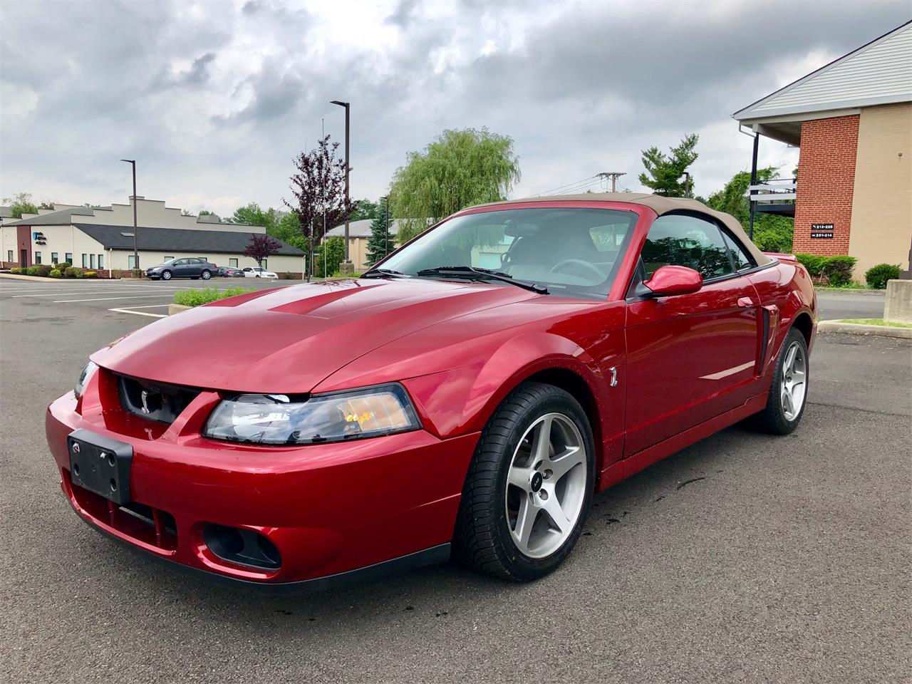Wallpaper #-ELQPJMBOBpx0NhmL8EM343 2003 Ford Mustang Svt Cobra for Sale Classiccarscom Cc 1237254