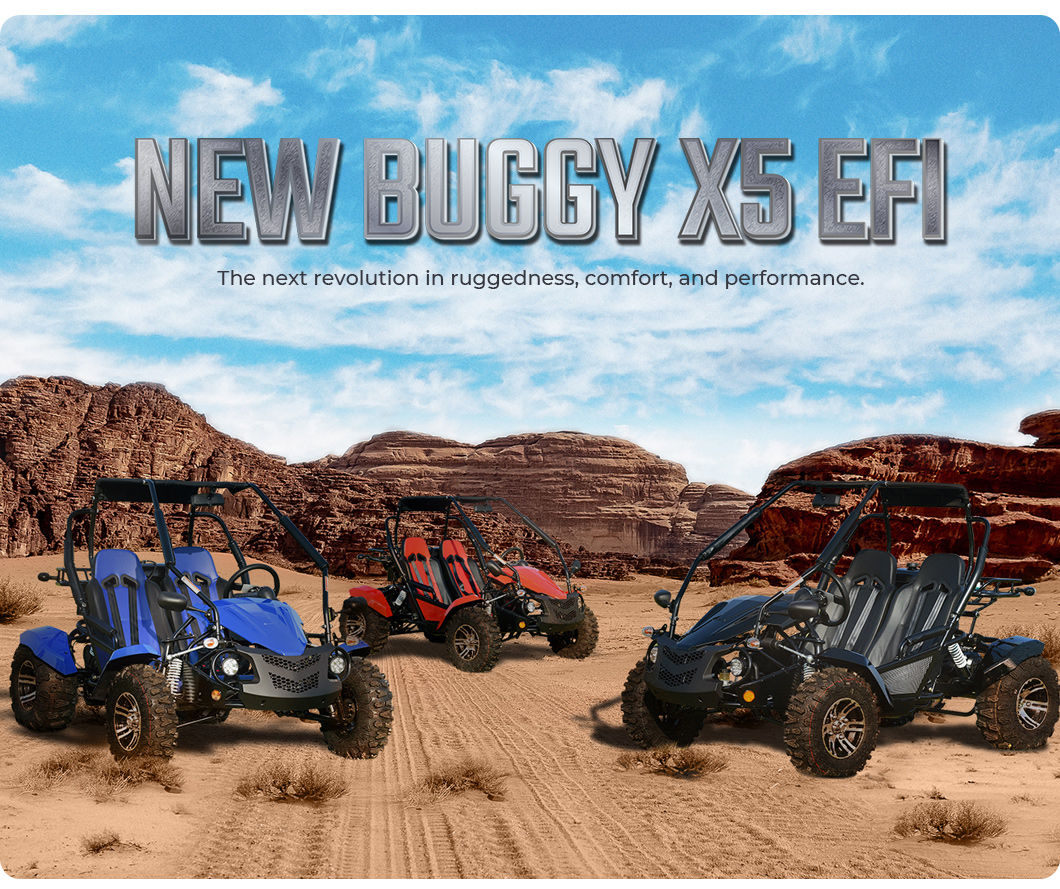Wallpaper #220Va5cBycdYOYFTJnGX167 2023 High Quality Gas Go Karts Cheap Off Road Go Carts 200cc Dune Buggy