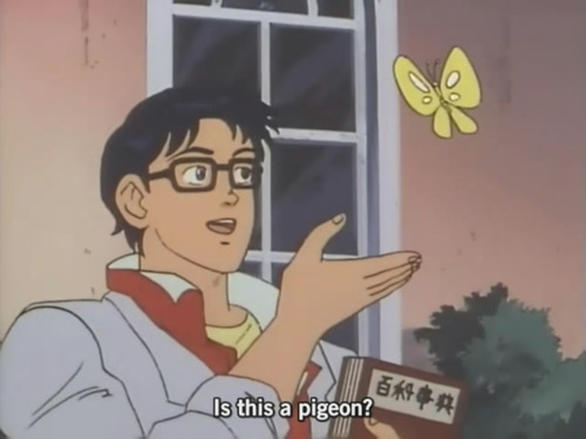 Wallpaper #tbiO2JIBJvJKYCmEG-iC171 Is This a Meme the Confused Anime Guy and His Butterfly Explained