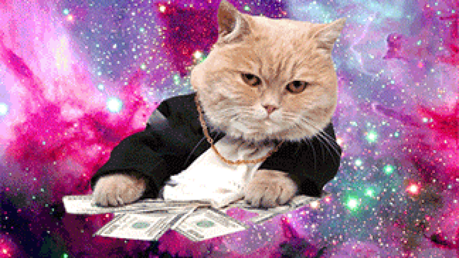 Wallpaper #-2jSE5MBSpphPi3-AgEt123 Politicians and Gifs a Terrible Mix Recode