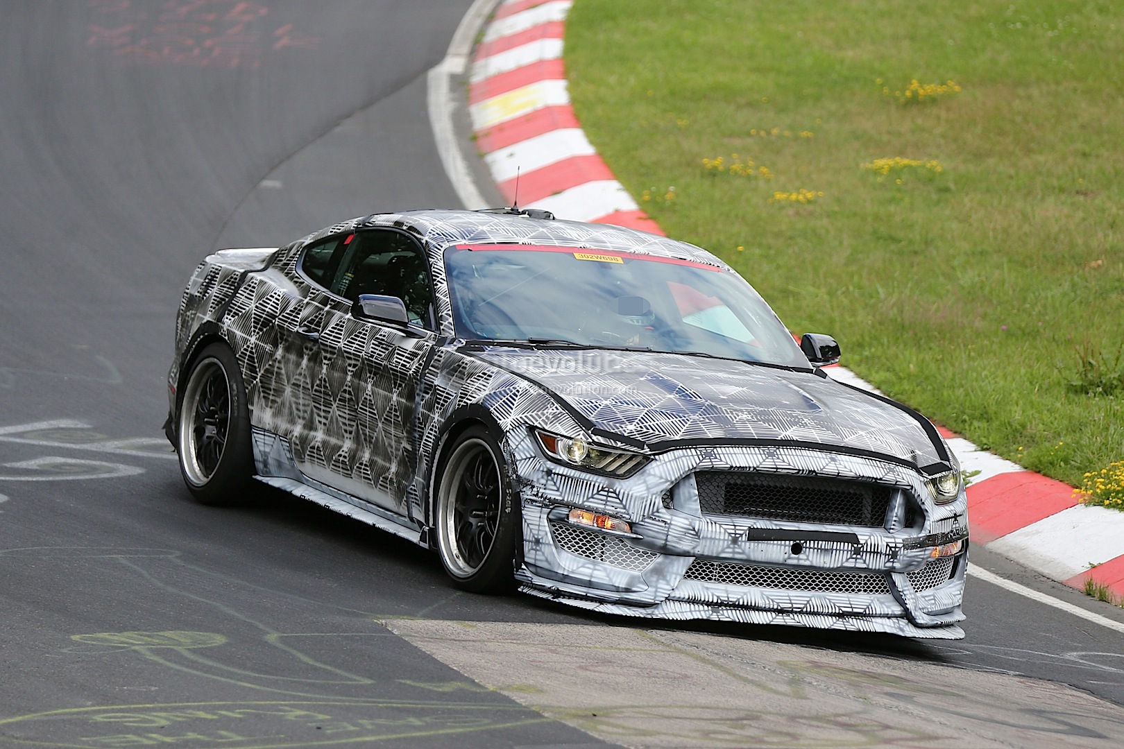 Wallpaper #bGgGF5MBSpphPi3-Rg1x23 New Svt GT350 Mustang S550 Undresses at Nurburgring Now with Videos