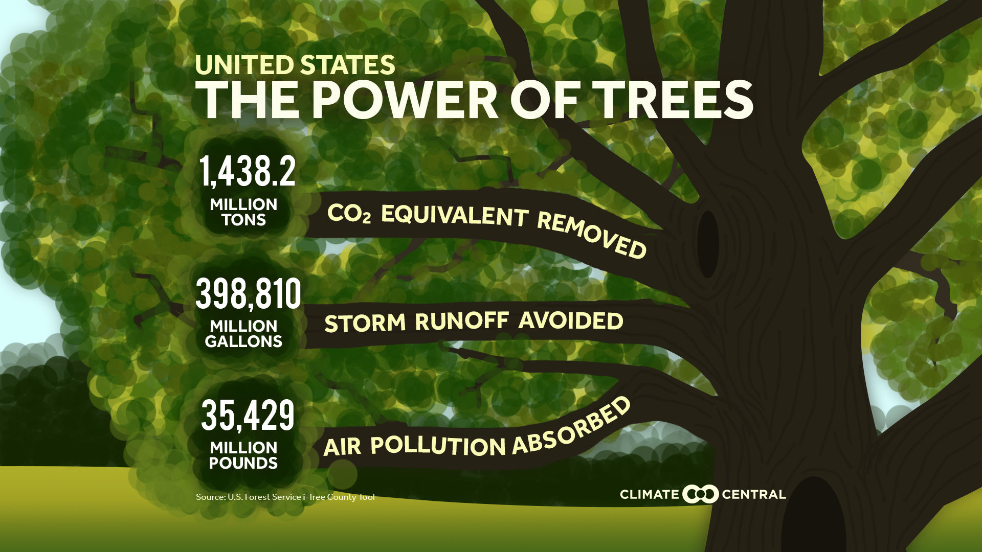 Wallpaper #H2ds_JIBSpphPi3-LpgZ74 The Power of Trees Climate Central