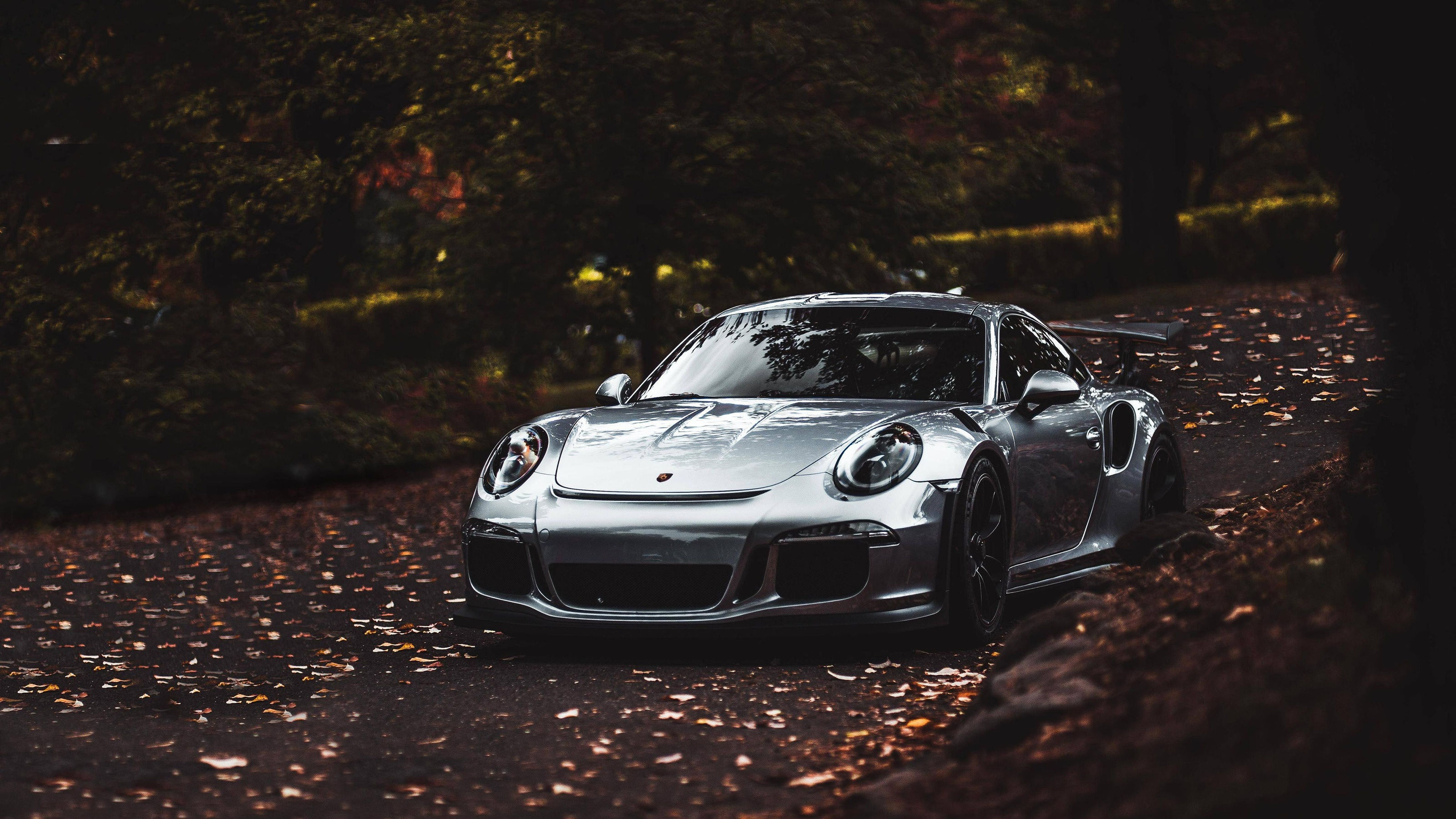 Wallpaper #ymd18pIBSpphPi3-5HCh178 Download Silver Car Car Porsche Porsche 911 Porsche 911 Gt3 Vehicle