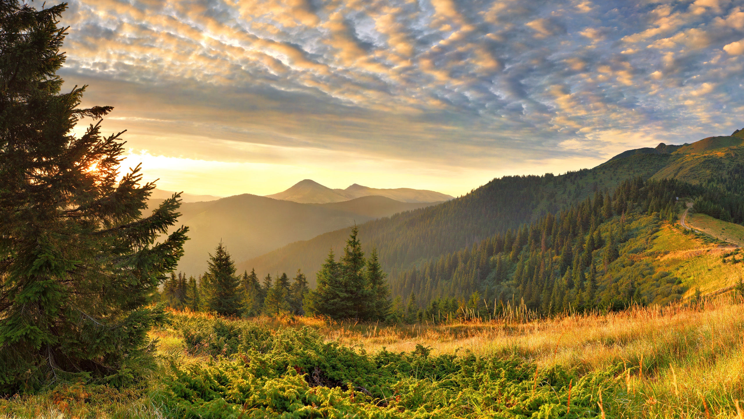 Wallpaper #aTGdNZMB5zzyi_yYVFcm63 Mountain Landscape HD Wallpaper Background Image 2560x1440 Id