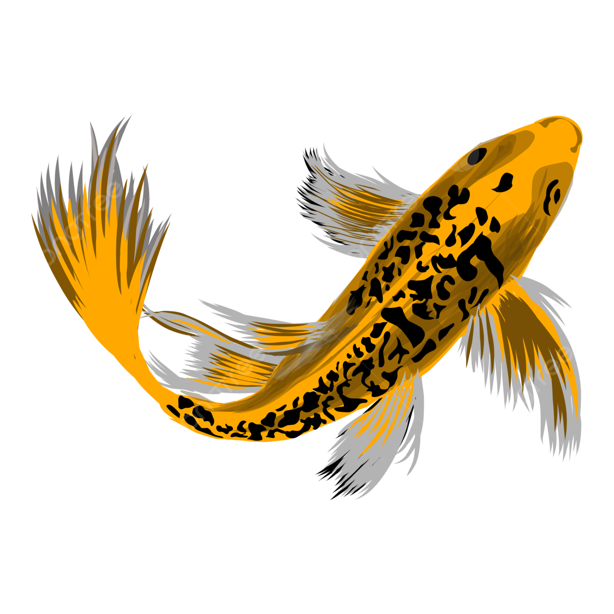 Wallpaper 5e6bc Black Yellow Koi Fish Fish Koi Tattoo Png and Vector with 5016 the HD Wallpaper 5e6bc
