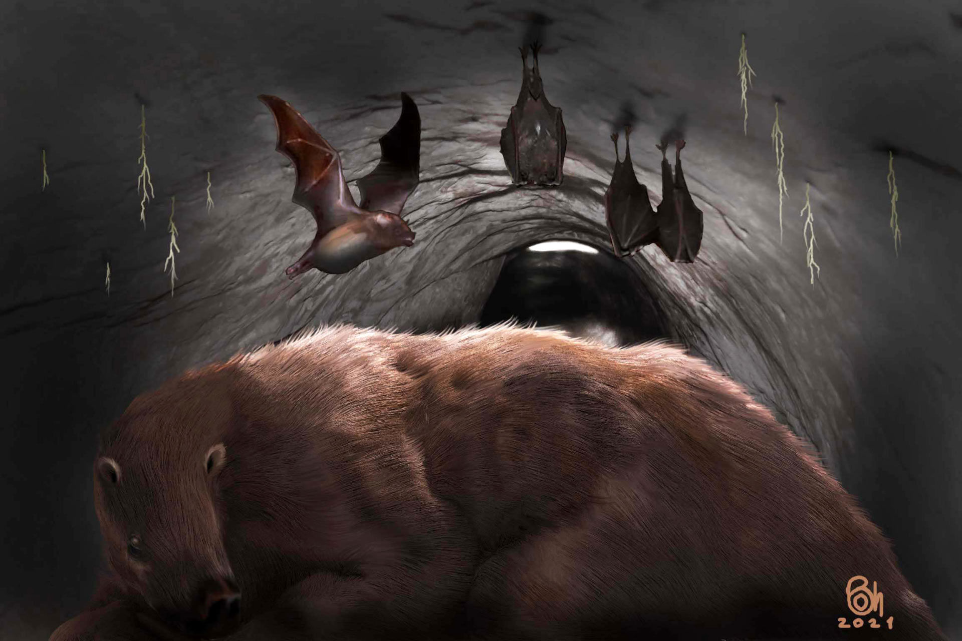 Wallpaper #dfTIOpMBKFX8bn3roXlL252 Vampire Bat Creature