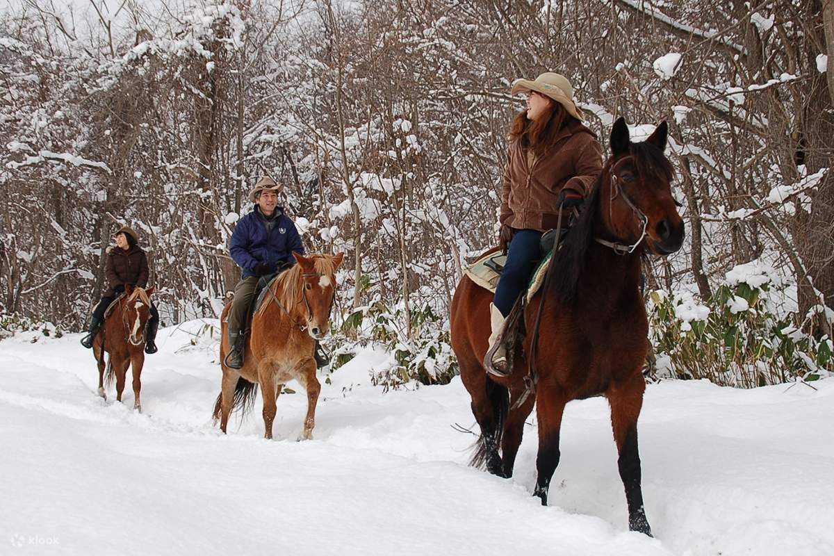 Wallpaper #3x2MLJMBlOZrFDOkscpy232 Winter Horseback Riding in Sapporo Klook Singapore