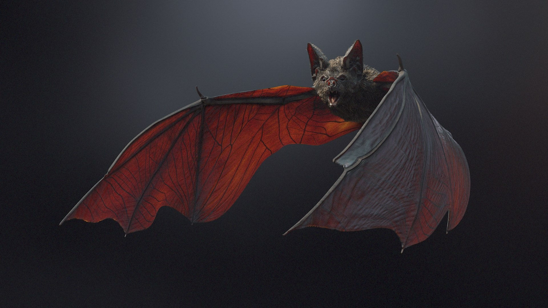 Wallpaper #r3KDMpMBX2lk1u3ogFrF48 3D Vampire Bat