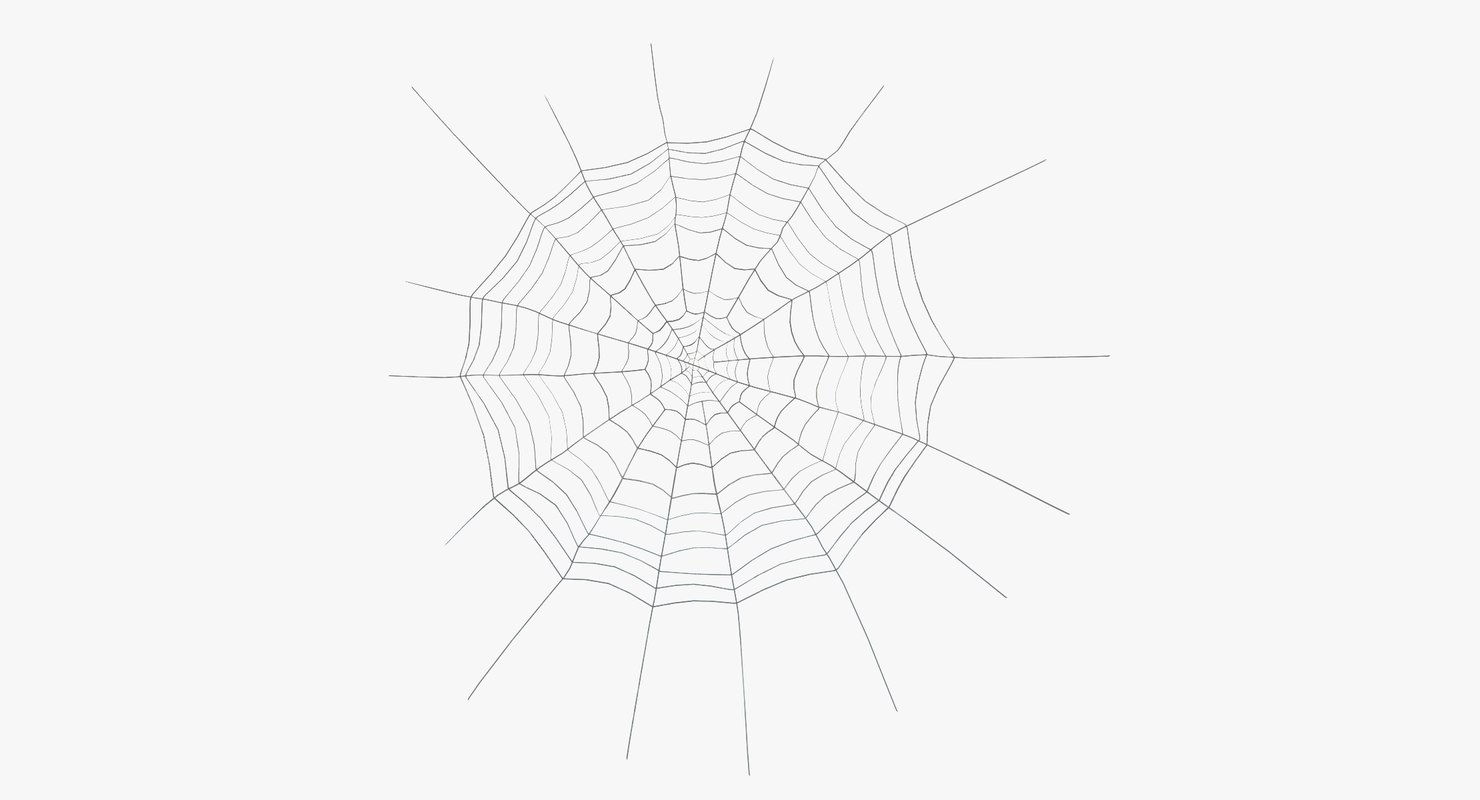 Wallpaper #xhmUEo8BtGB6xQ78j2OD35 3D Spider Web Model Turbosquid 1344251