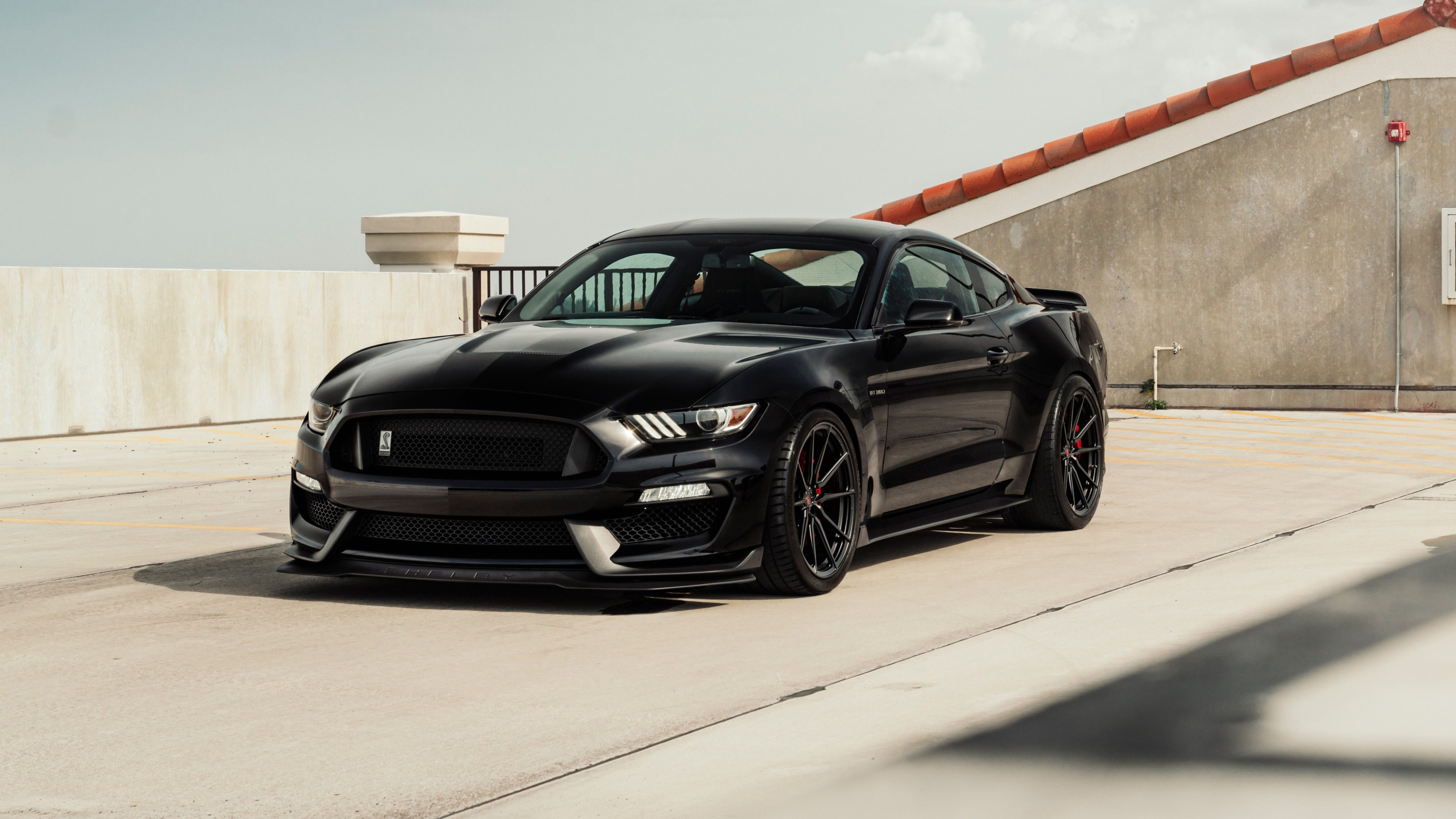 Wallpaper #xmfK55IBSpphPi3-yzmm78 1080x1080 Mustang