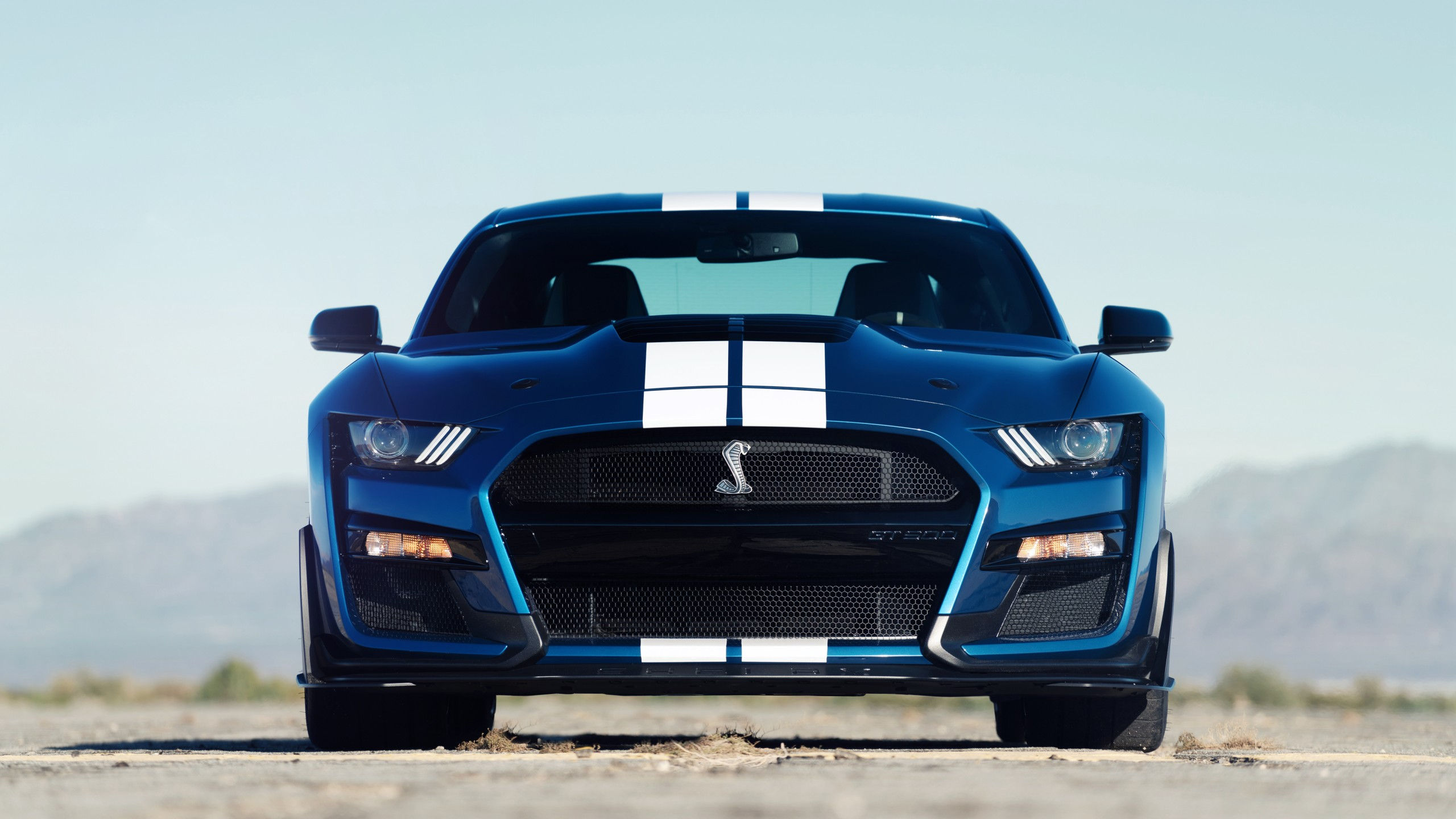 Wallpaper #nUUgl44B7YBJg1BVN6AP58 A Head-On View of a Blue Ford Mustang Shelby Gt500