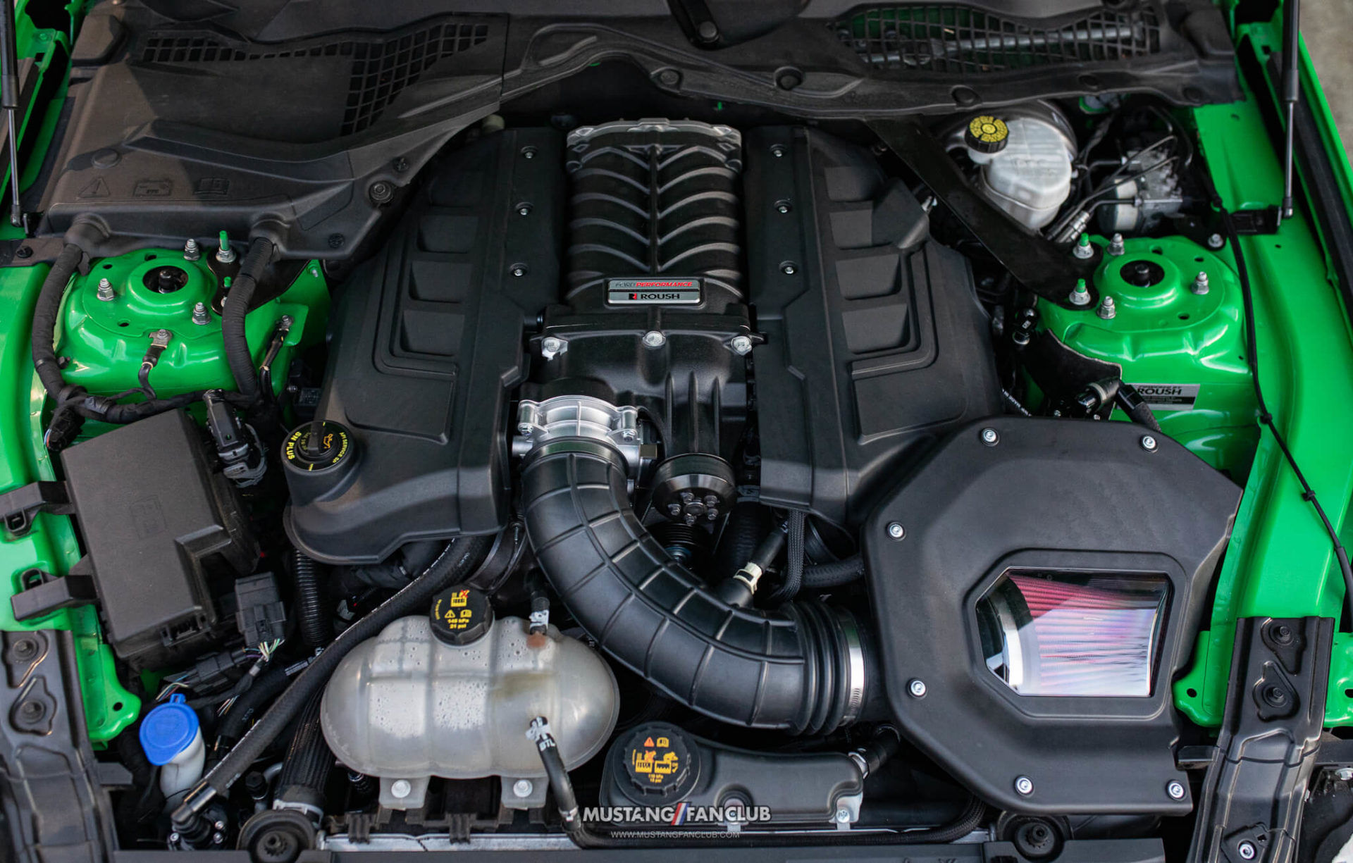 Wallpaper #22jVFpMBSpphPi3-RAwu90 Upr Oil Catch Can for Your Roush Supercharged Mustang Mustang Fan Club
