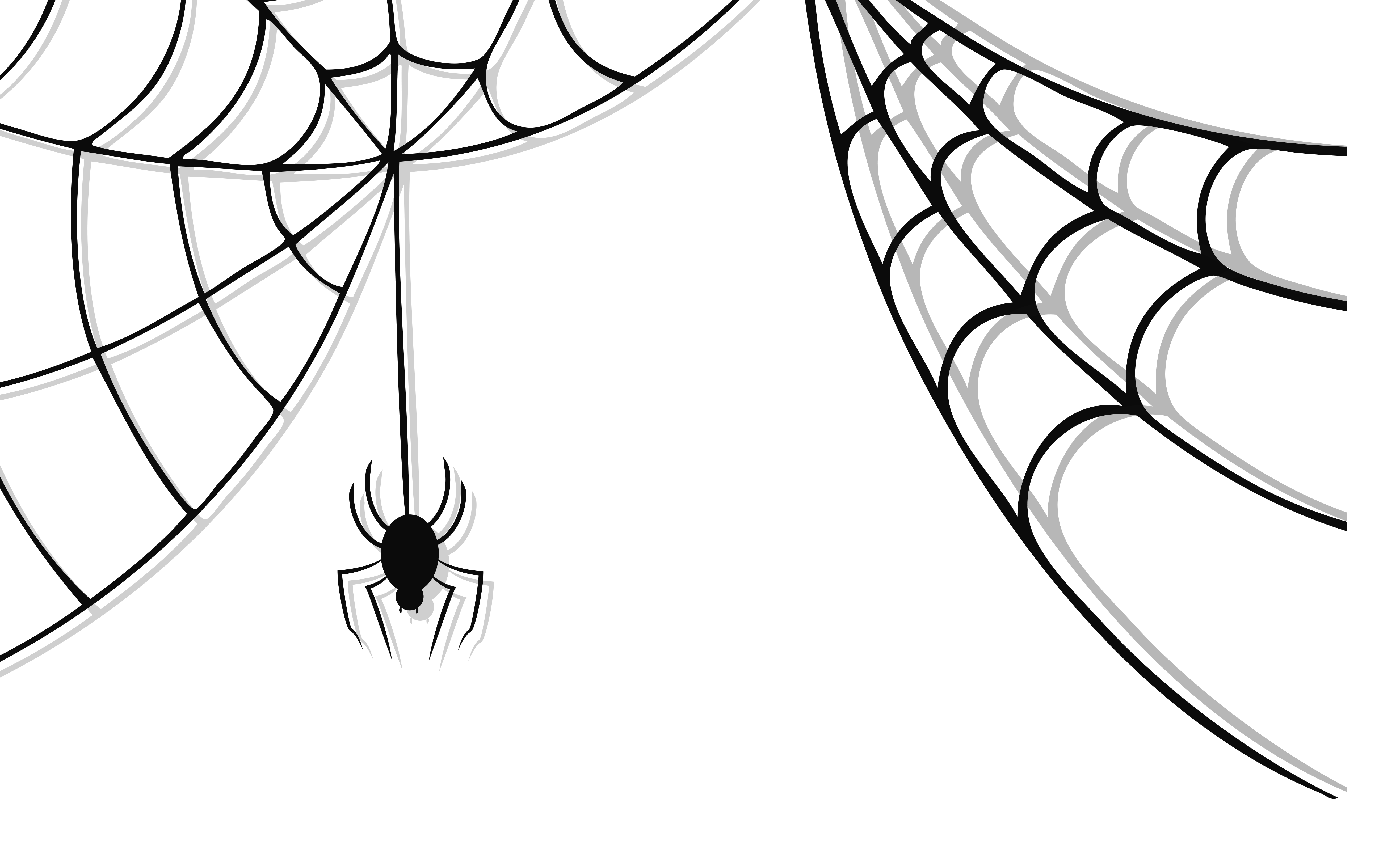 Wallpaper #TPS6OZMBKFX8bn3ra3dt194 Halloween Spider Png Picture Png Mart