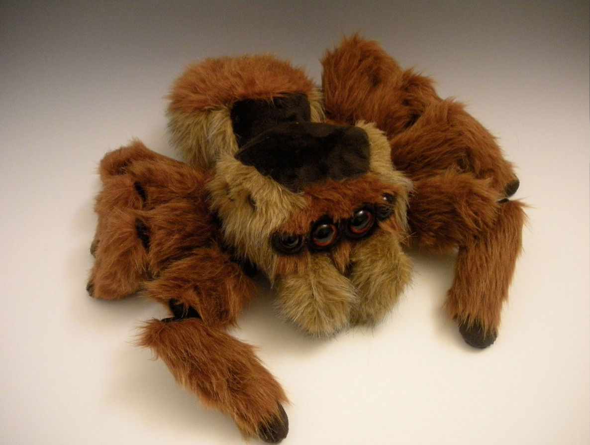 Wallpaper #3PQROpMBKFX8bn3rnHfv431 Sewspirations Jumping Spider Plush by Whittykitty