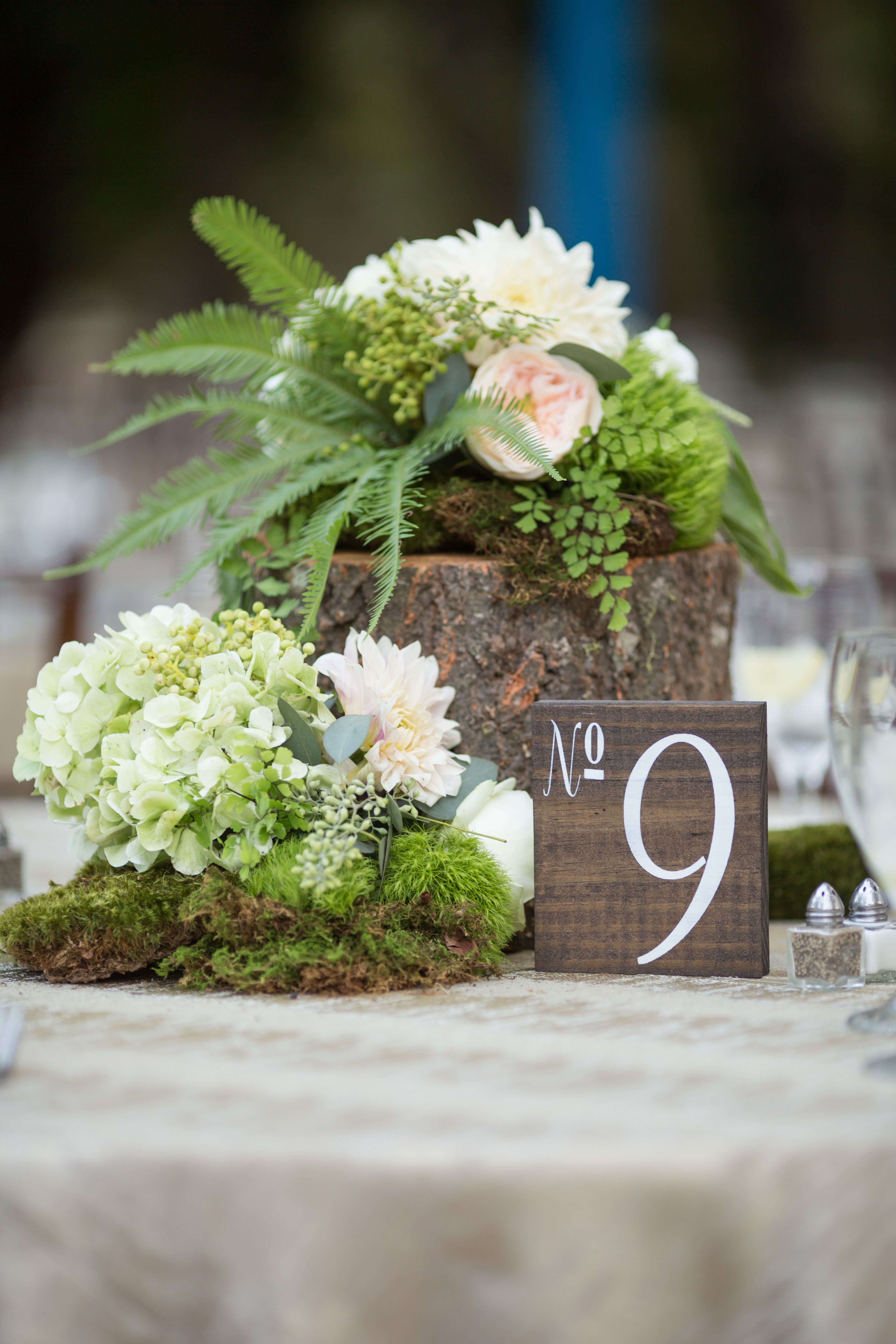 Wallpaper #lGcDC5MBSpphPi3-T9ct313 Tree Stump Moss and Floral Centerpiece by at Katie Daniell with Stained