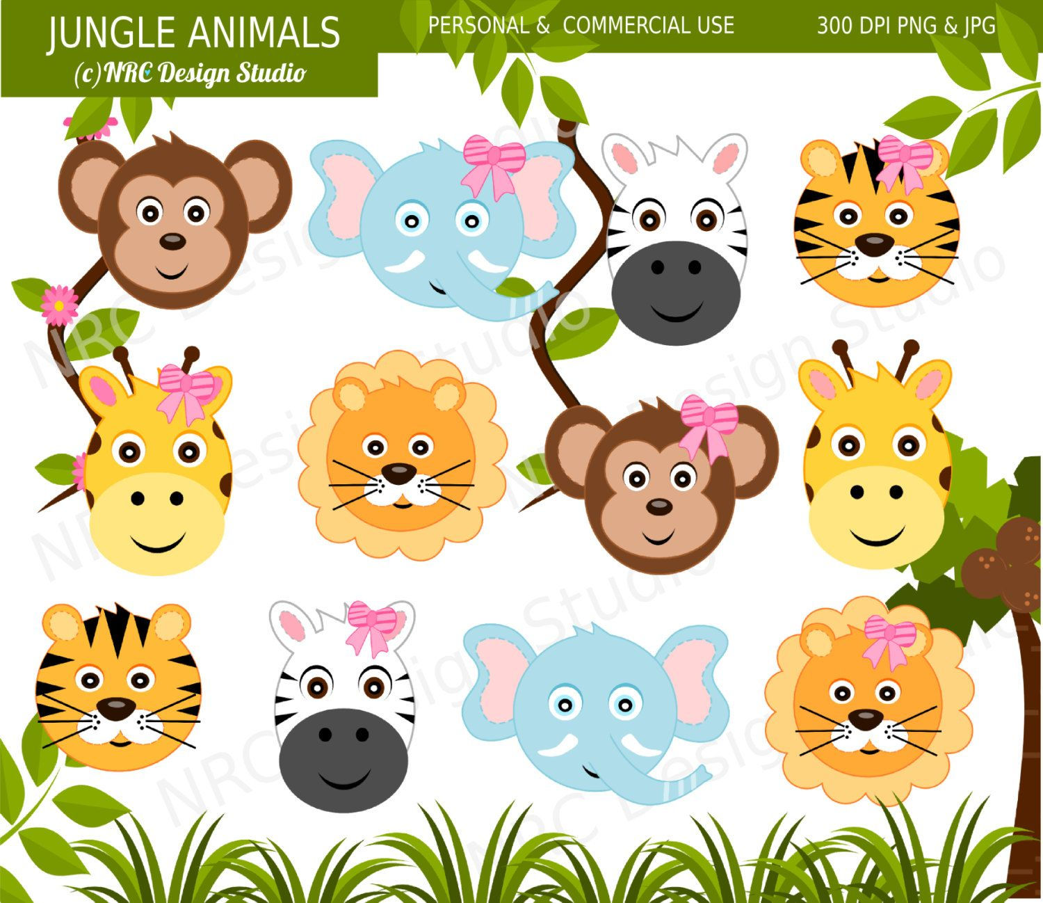 Wallpaper #03c4b Happy Jungle Safari Birthday Our Amhiraya Studio