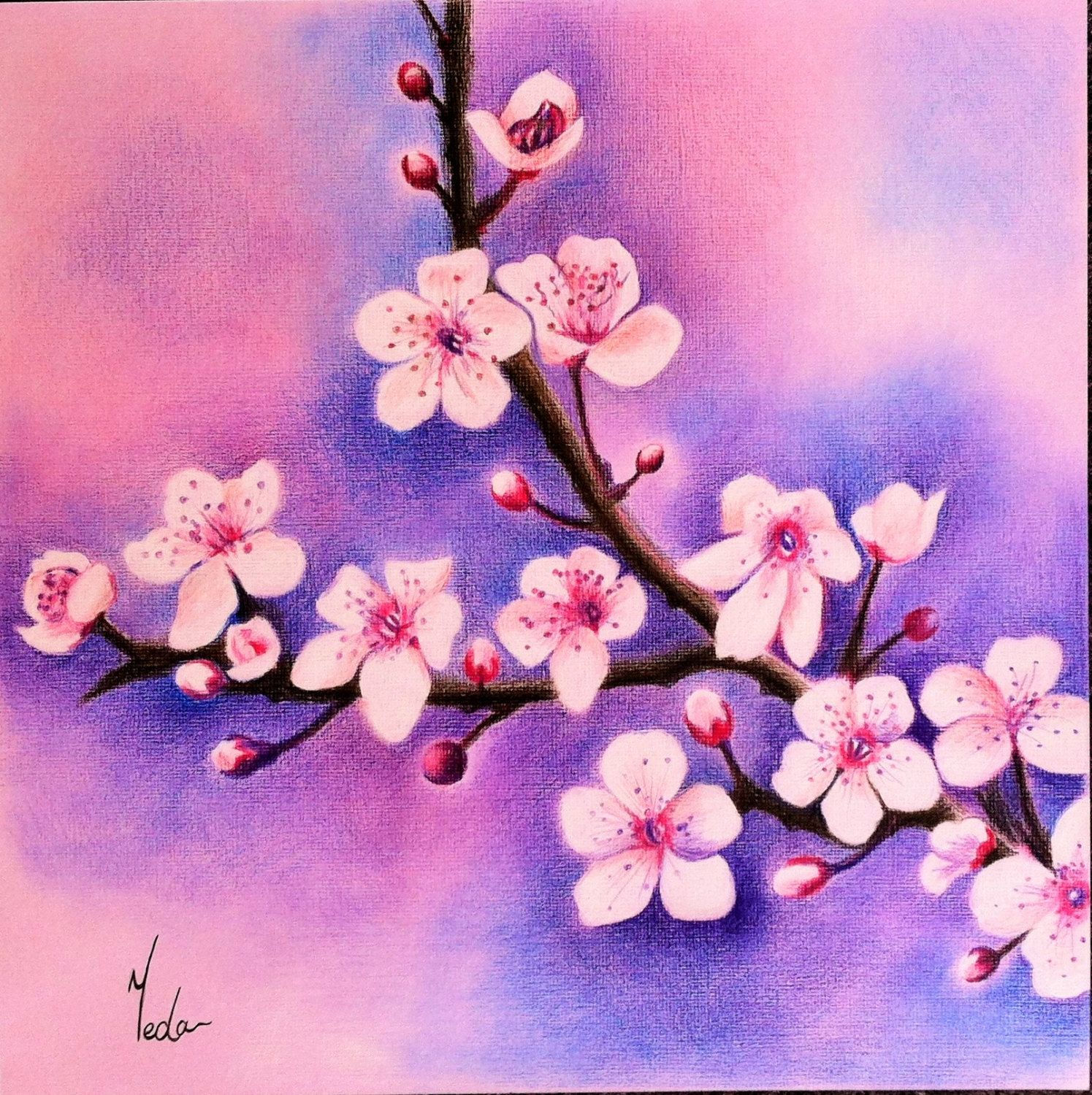 Wallpaper #OBqEUJMB1yWOL4qgwYA7417 Cherry Blossoms Original Coloured Pencil Art Beautiful Flowers Wall